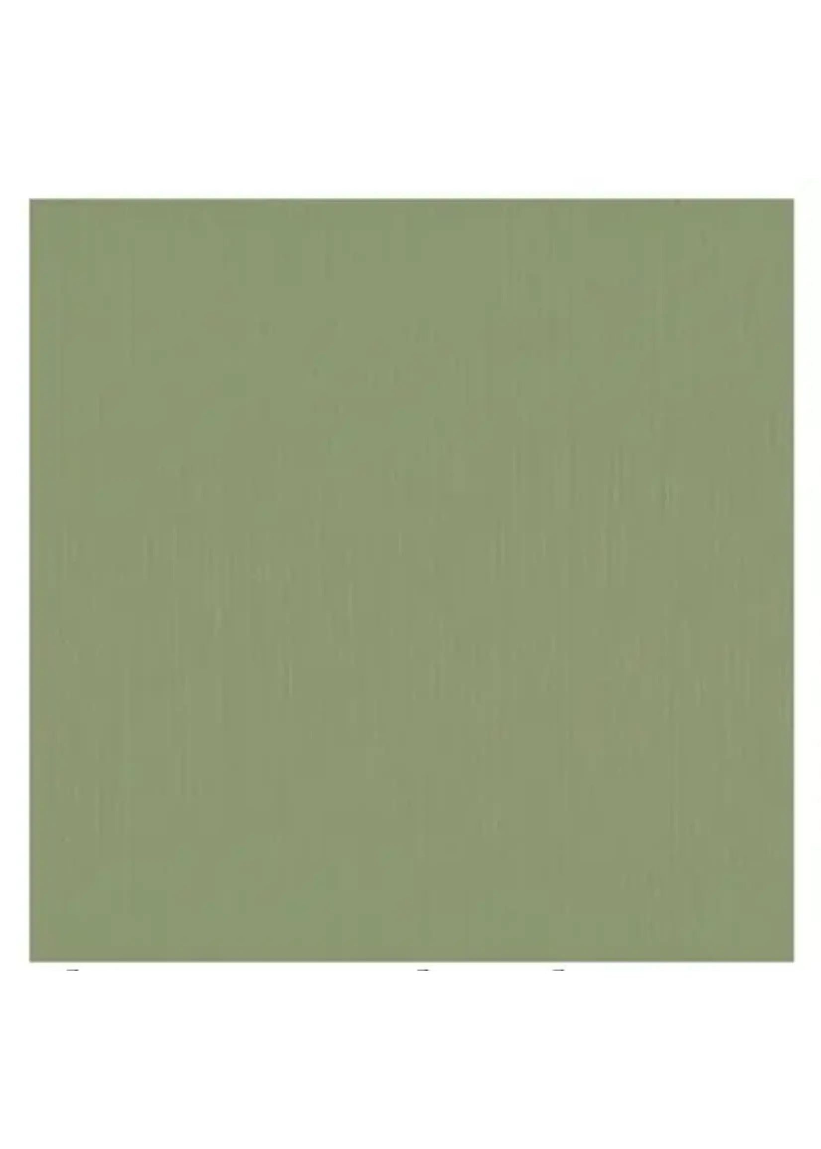 Florence Cardstock  Florence Acacia texture 30,5 x 30,5 cm 10 vel
