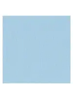 Florence Cardstock  Florence Texture Glacier 30,5 x 30,5 cm  216 gram 10 vel