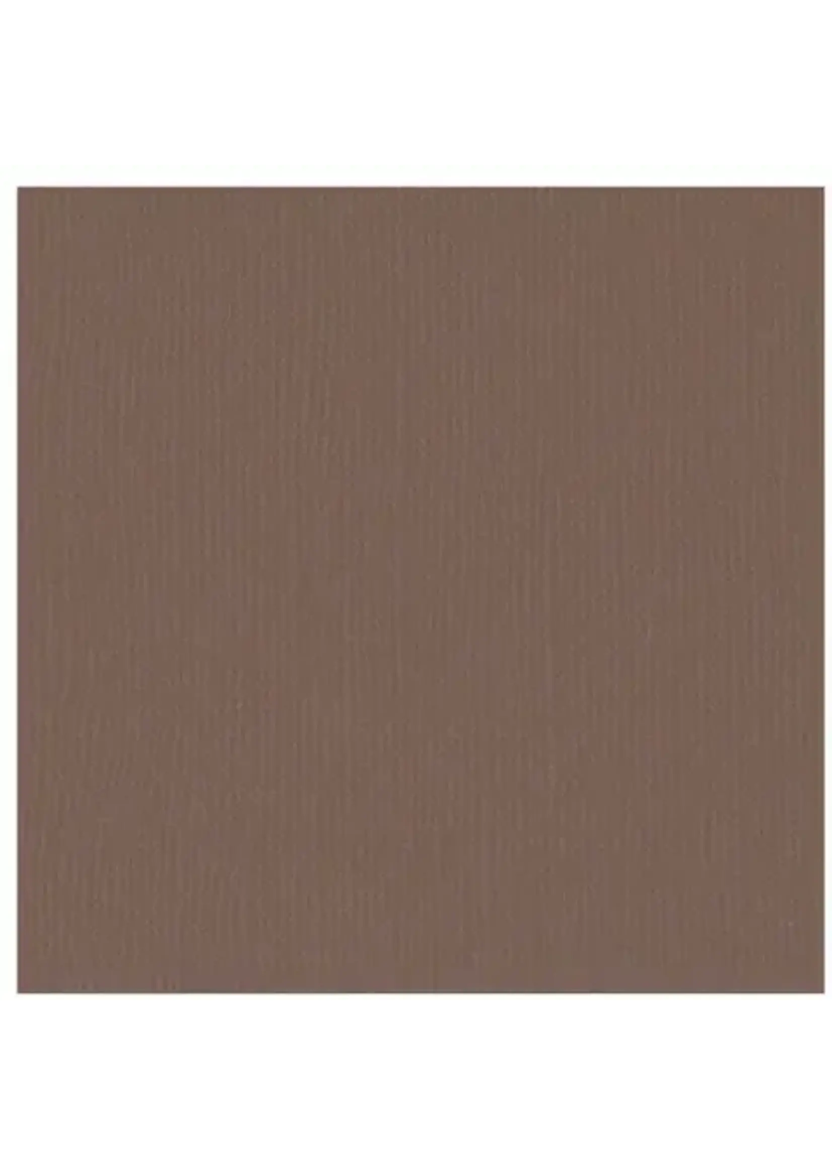 Florence Cardstock  Florence Texture Bear 30,5 x 30,5 cm 10 vel