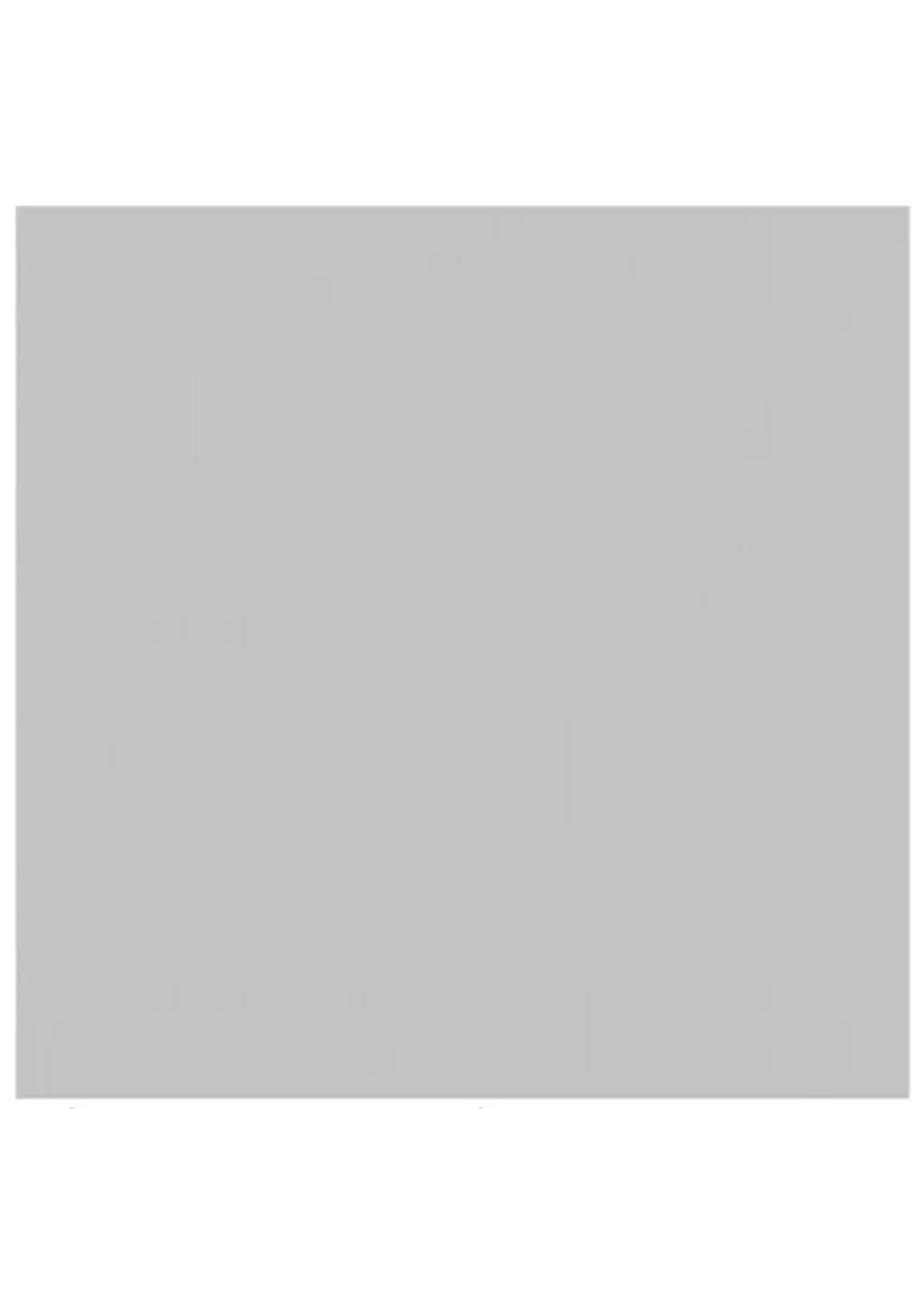 Florence Cardstock  Florence Texture Mousse 30,5 x 30,5 cm  216 gram