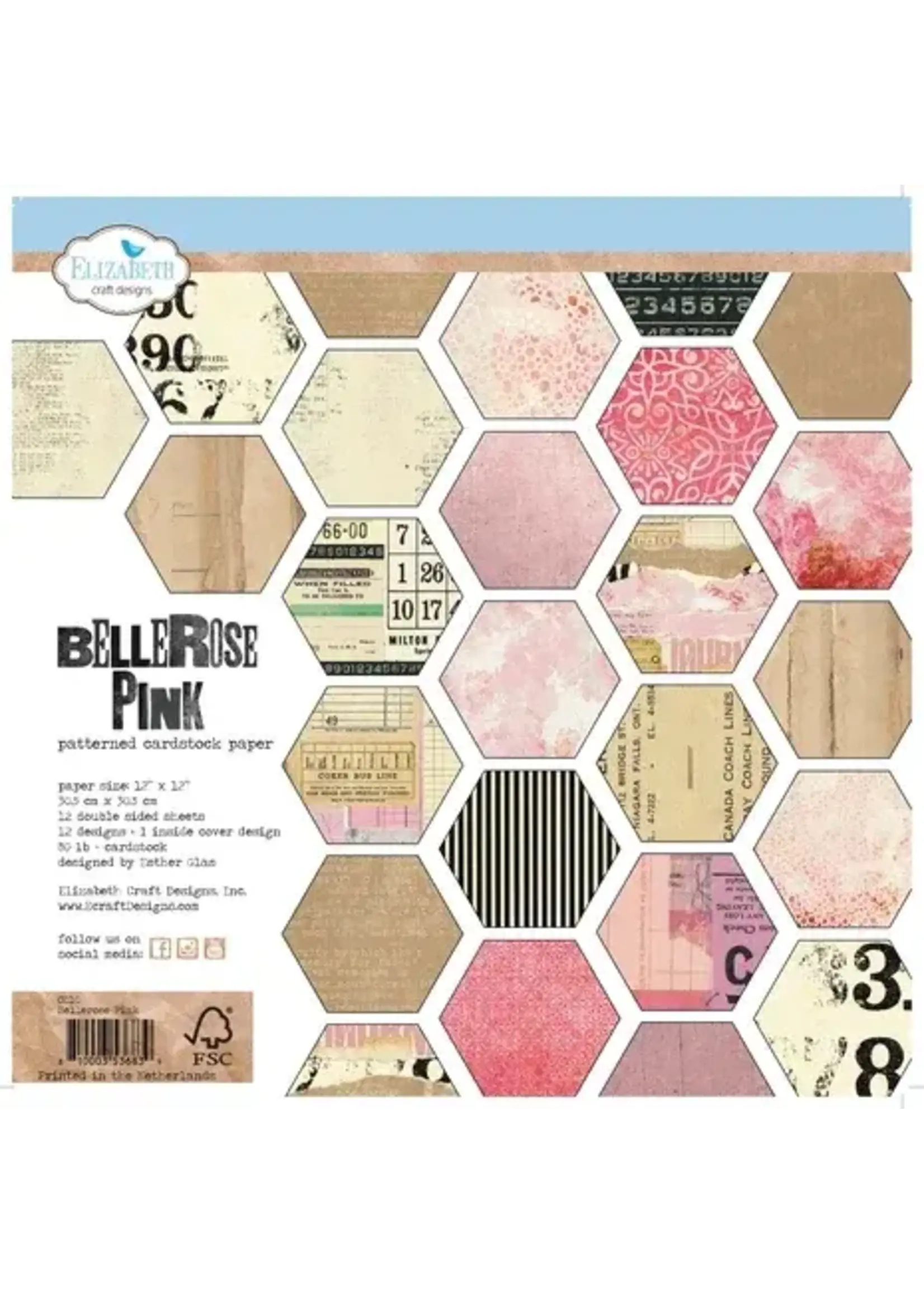 ECD Bellerose Pink 12x12 Inch Patterned Cardstock Paper (C010)