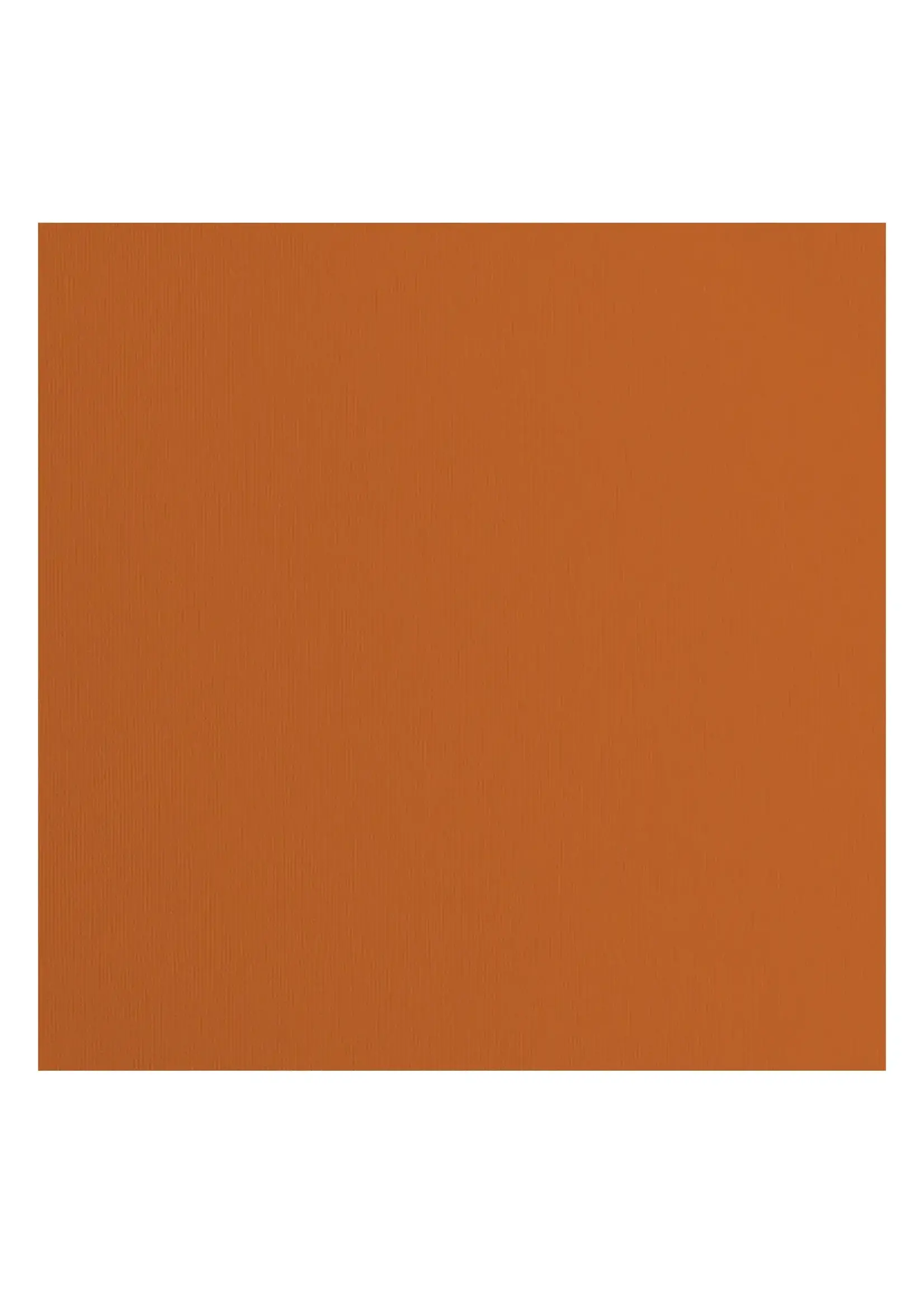 Florence Florence • Cardstock Papier Textuur 30,5x30,5cm Fox Florence 2928-091