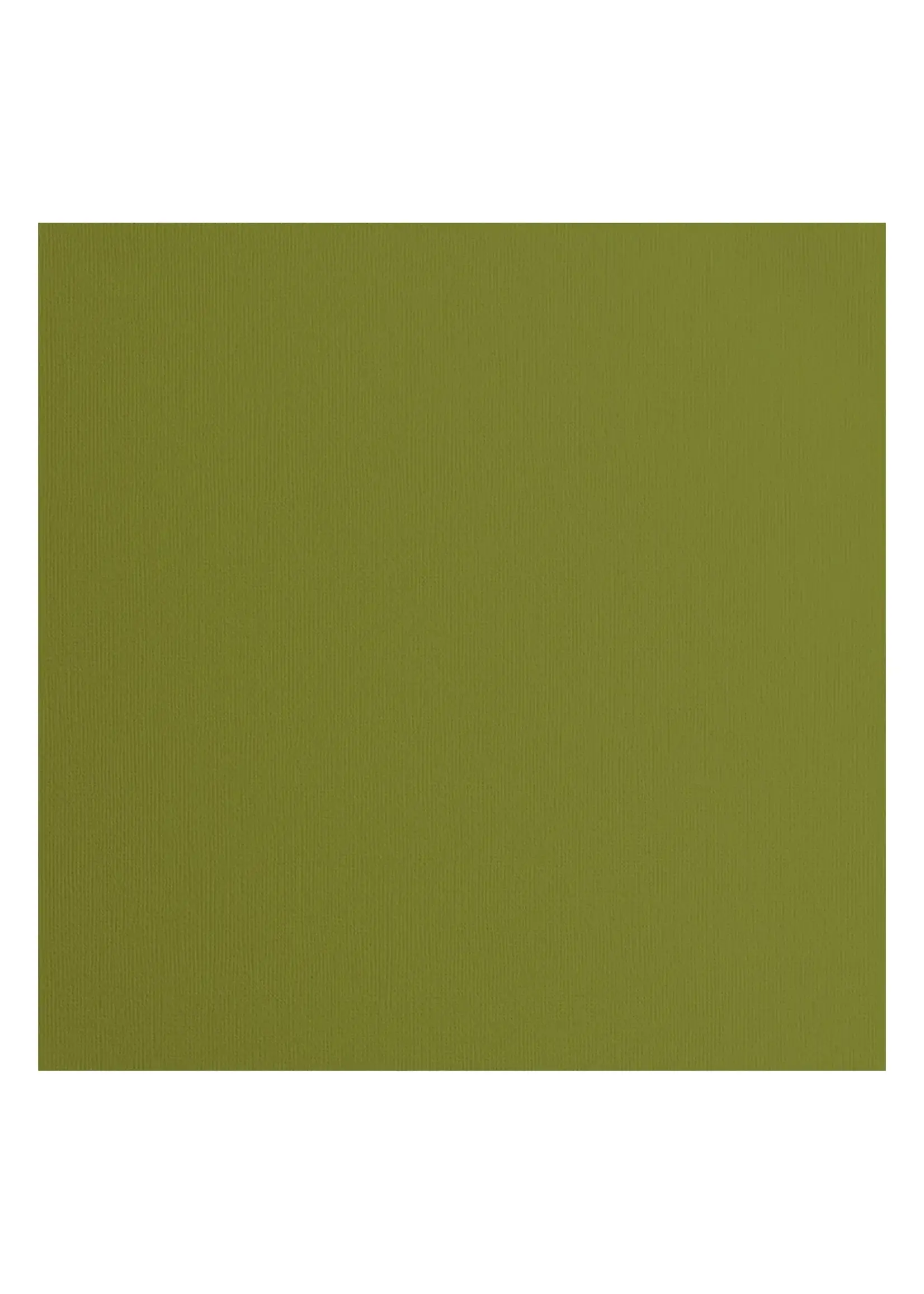 Florence Florence • Cardstock Papier Textuur 30,5x30,5cm Olive Florence2928-073 10 vel