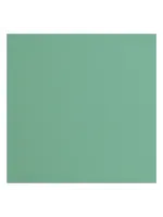 Florence Florence • Cardstock Papier Textuur 30,5x30,5cm Iguana 10stuks Florence2928-064