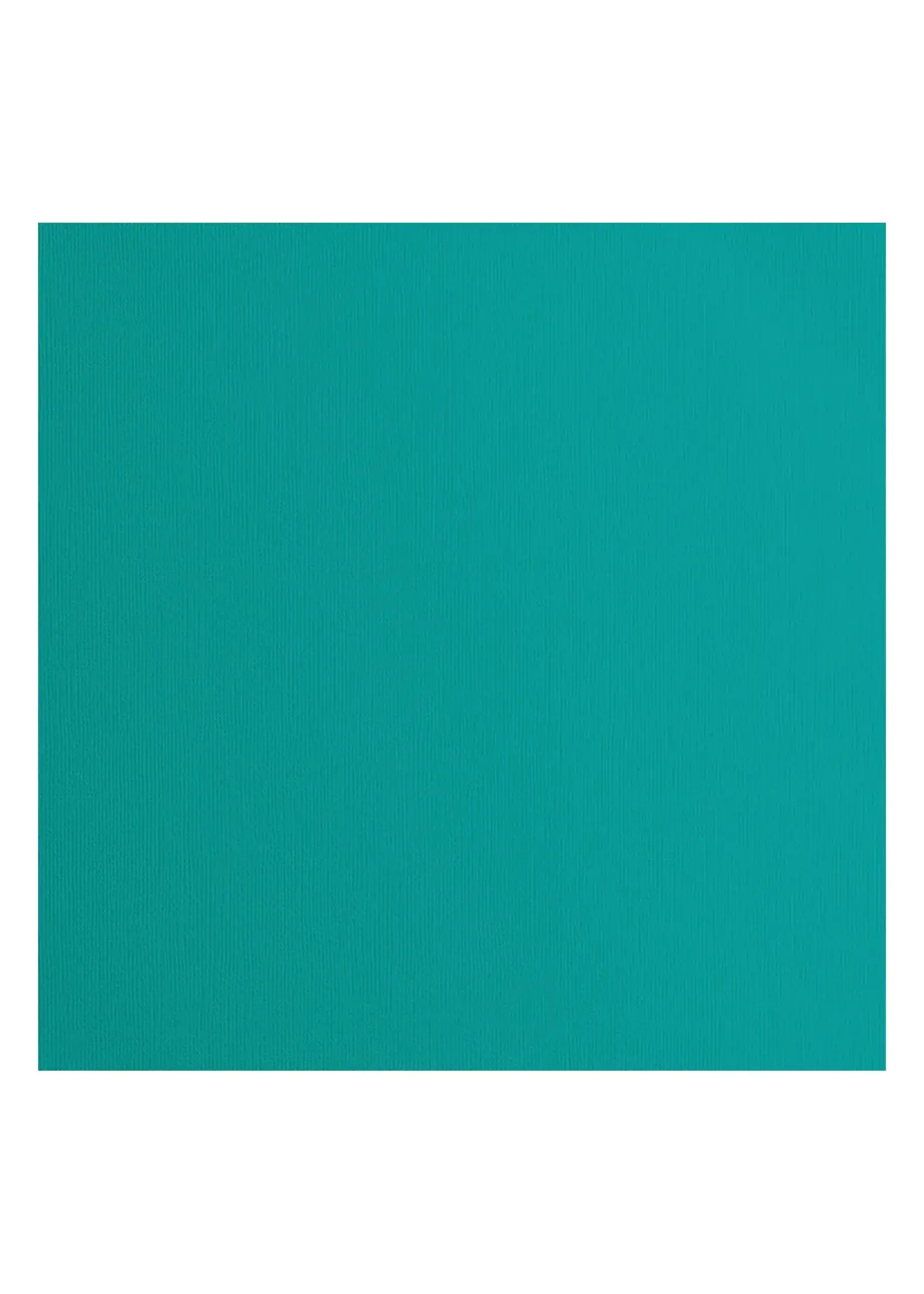 Florence Florence • Cardstock Papier Textuur 30,5x30,5cm Frosting Florence2928-061 10 vel