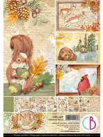 Ciao Bella INTO THE WILD CREATIVE PAD A4 9/PKG