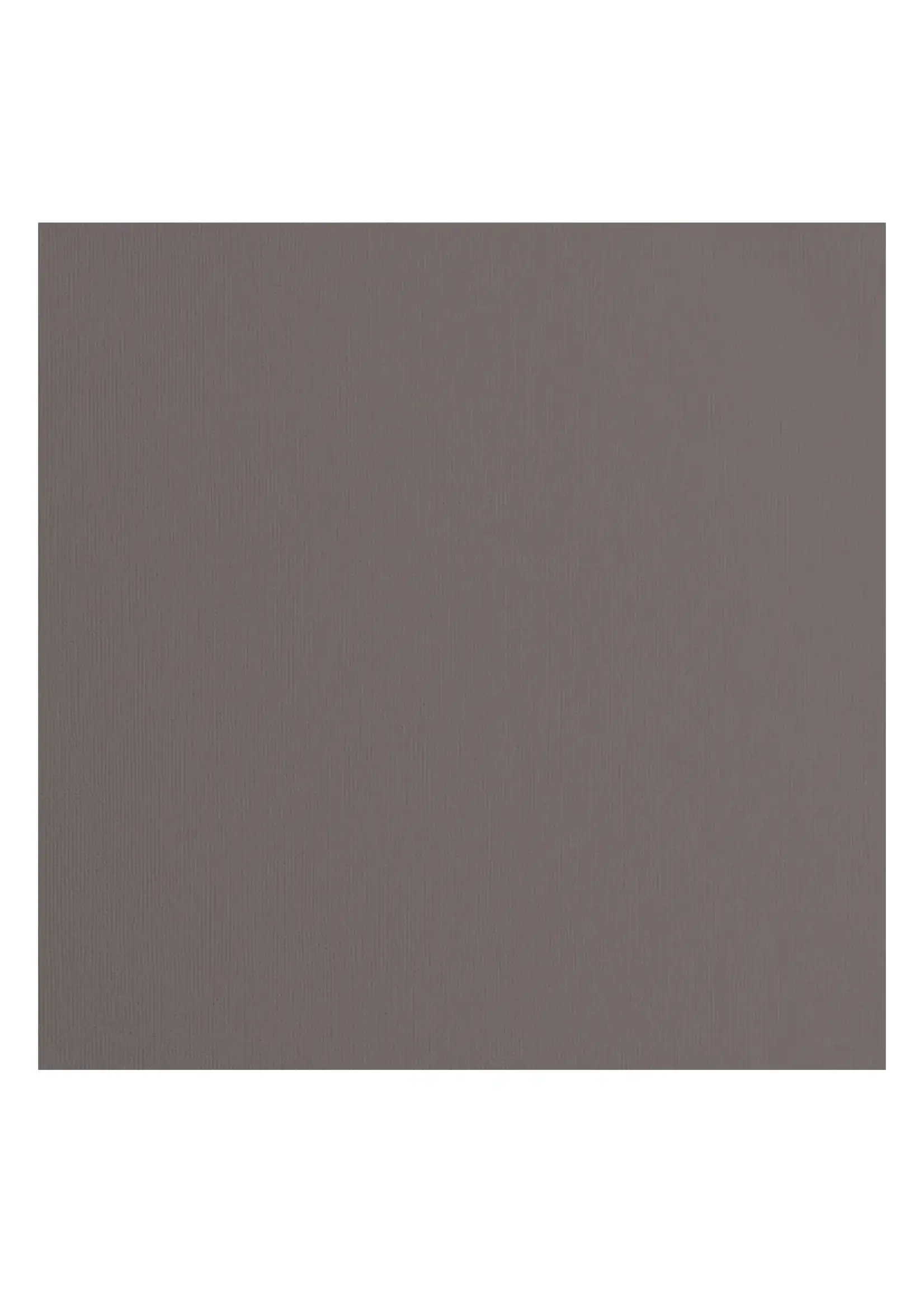 Florence Florence • Cardstock Papier Textuur 30,5x30,5cm Concrete Florence2928-087