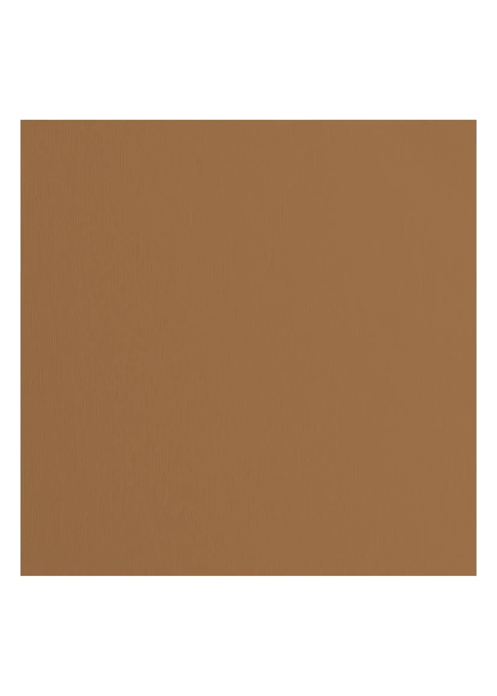 Florence Florence • Cardstock Papier Textuur 30,5x30,5cm Lion Florence2928-089