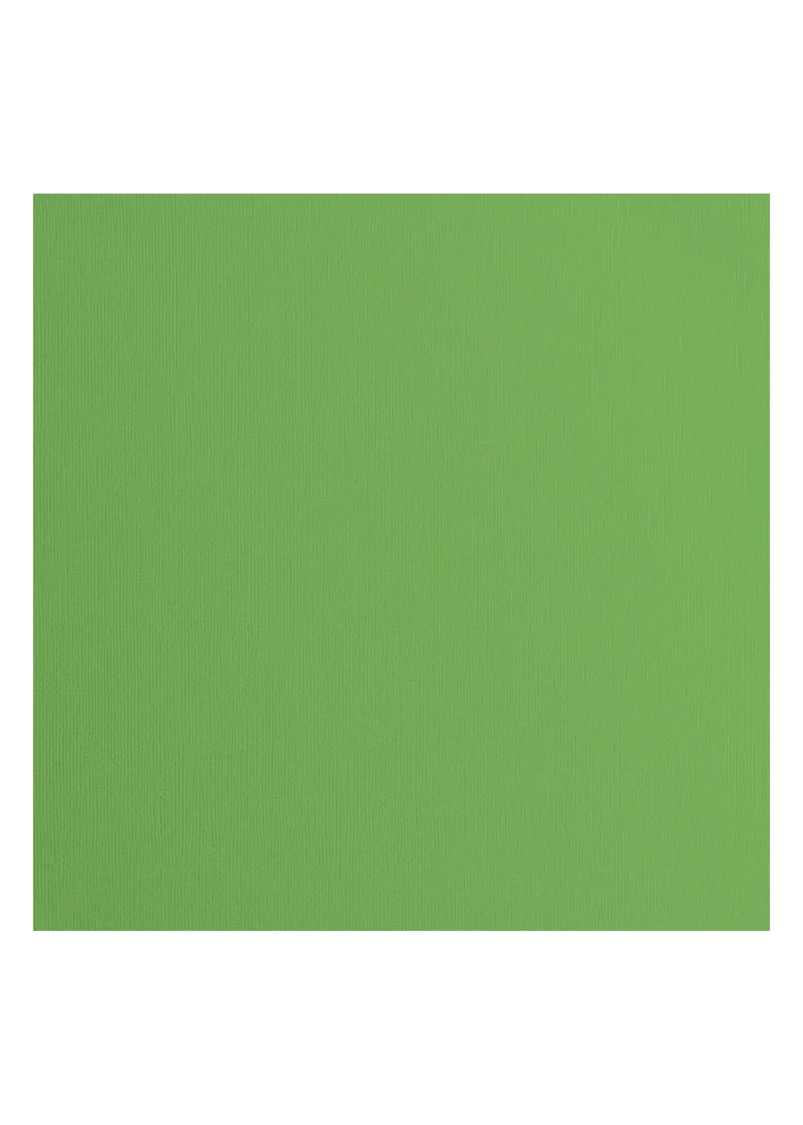 Florence • Cardstock Papier Textuur 30,5x30,5cm Moss Florence2928-075