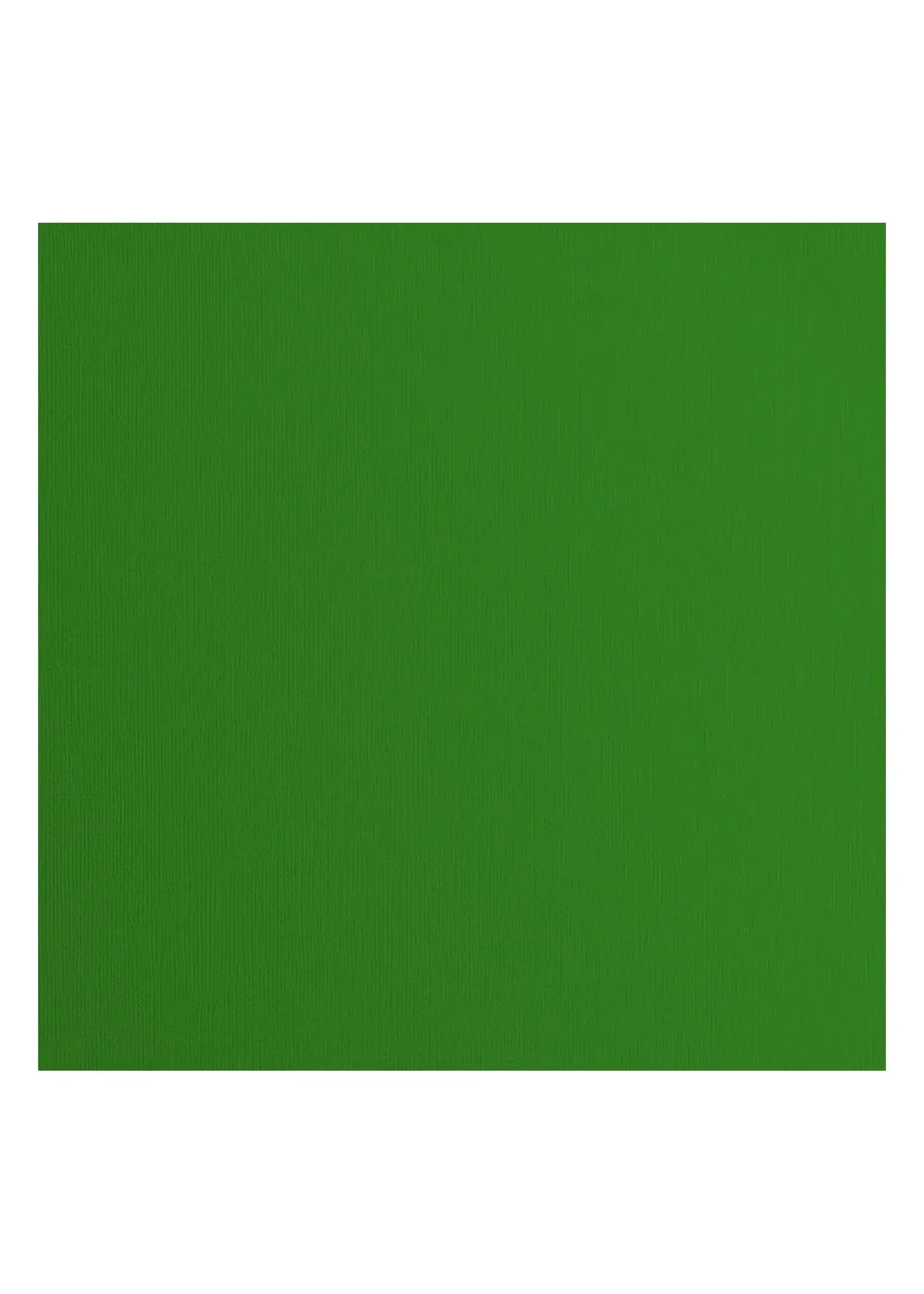 Florence • Cardstock Papier Textuur 30,5x30,5cm Grasshopper Florence2928-069