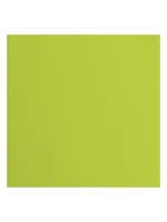 Florence • Cardstock Papier Textuur 30,5x30,5cm Lime Florence2928-068