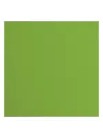 Florence • Cardstock Papier Textuur 30,5x30,5cm Frog Florence2928-074