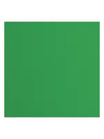 Florence • Cardstock Papier Textuur 30,5x30,5cm Holly Florence2928-076