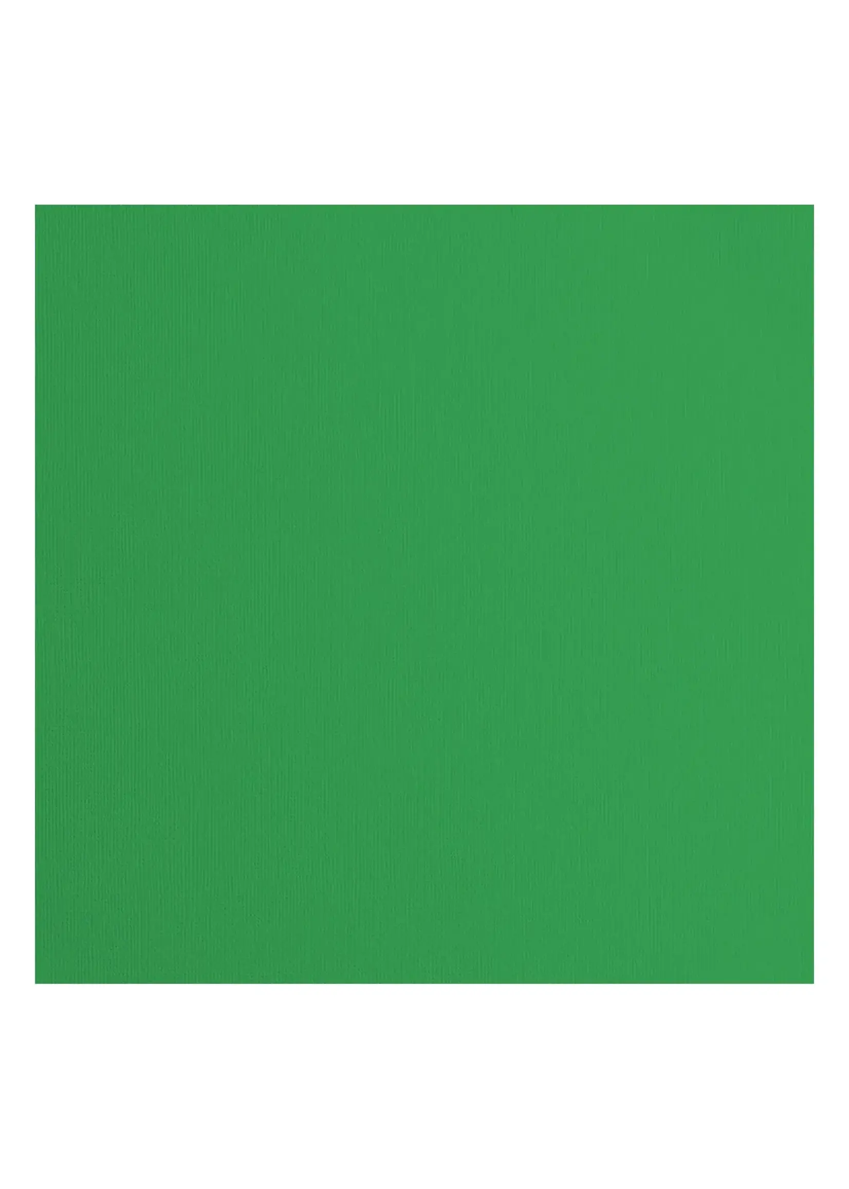 Florence • Cardstock Papier Textuur 30,5x30,5cm Holly Florence2928-076