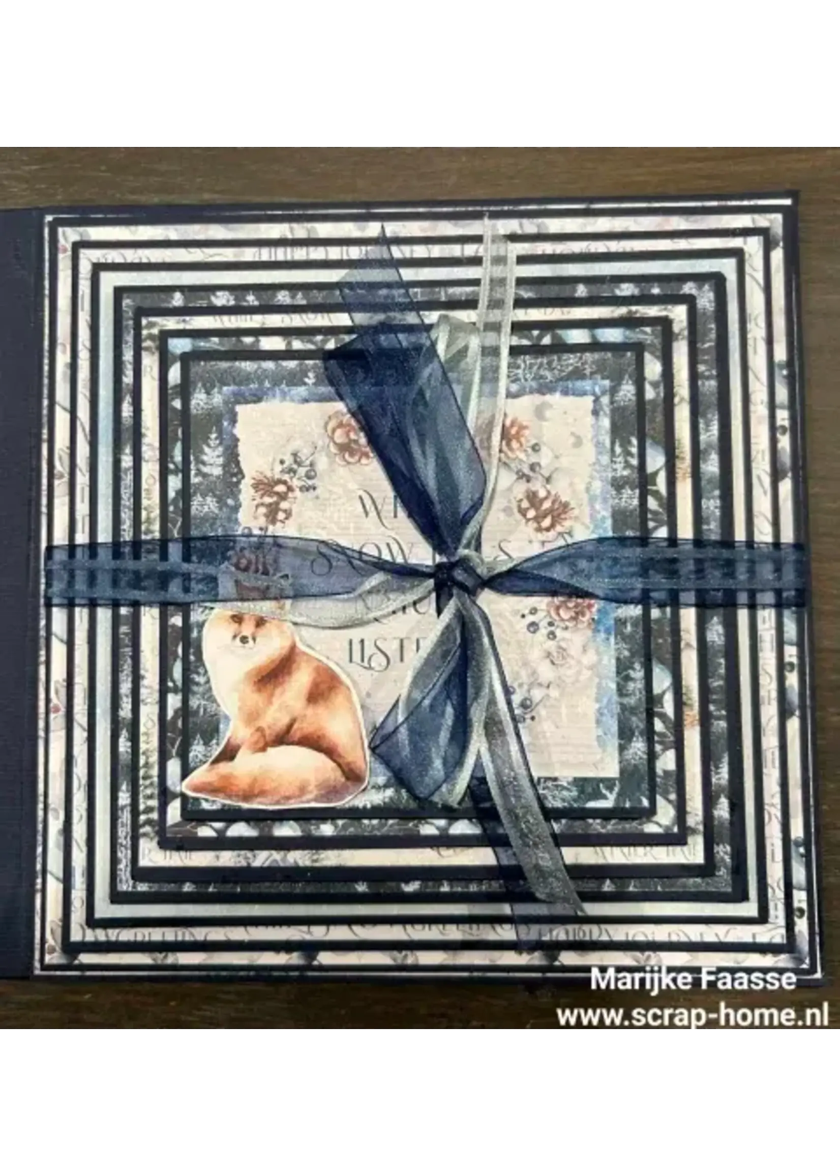 Pyramide winter Album pakket leverbaar circa medio oktober