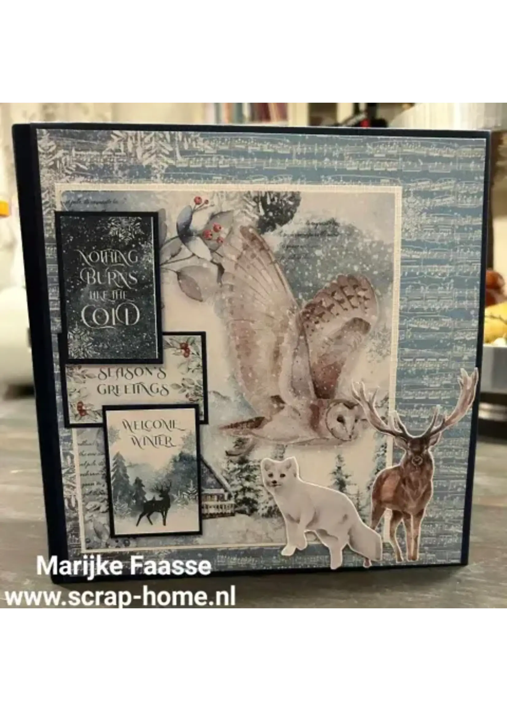 Pyramide winter Album pakket leverbaar circa medio oktober