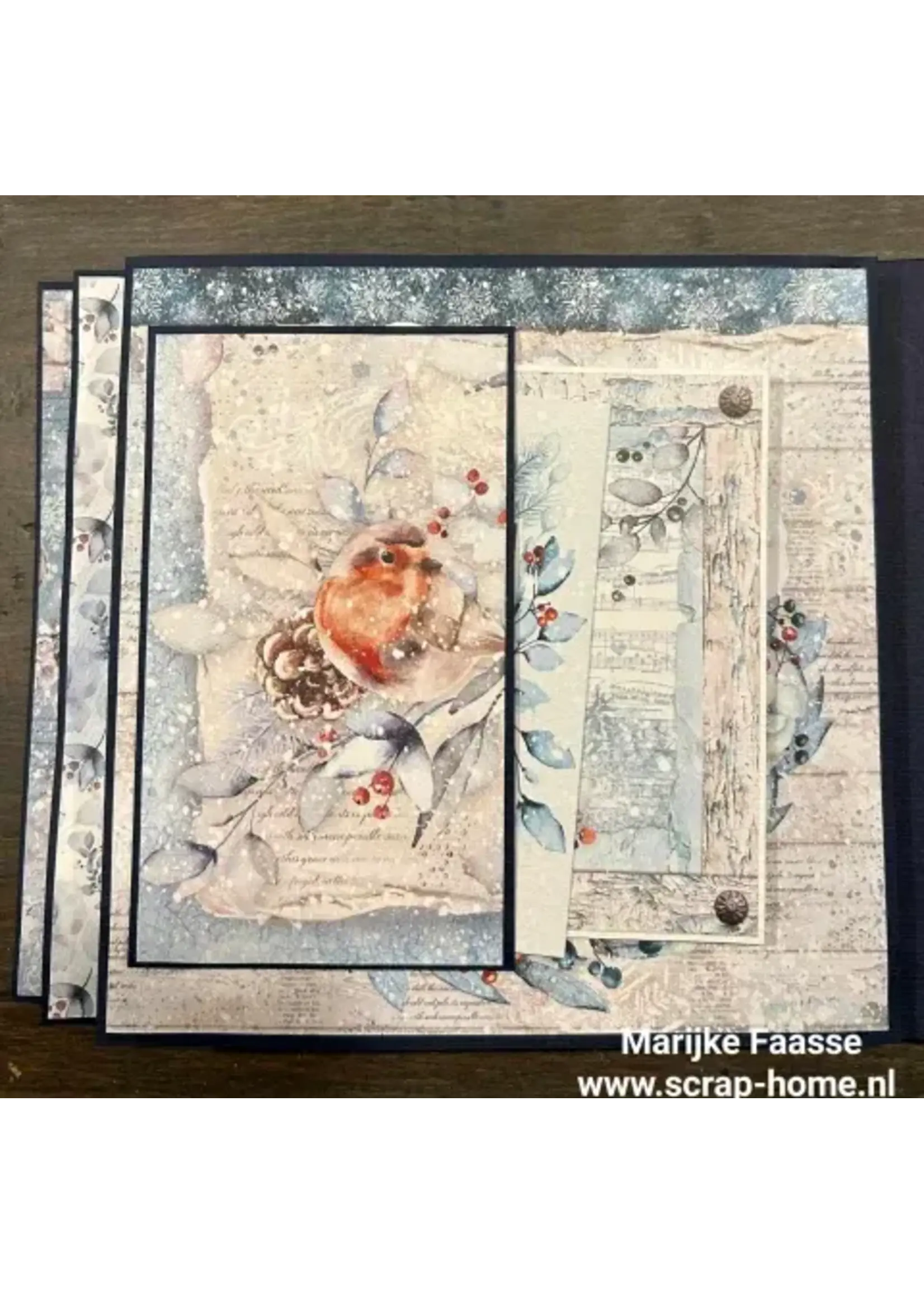 Pyramide winter Album pakket leverbaar circa medio oktober