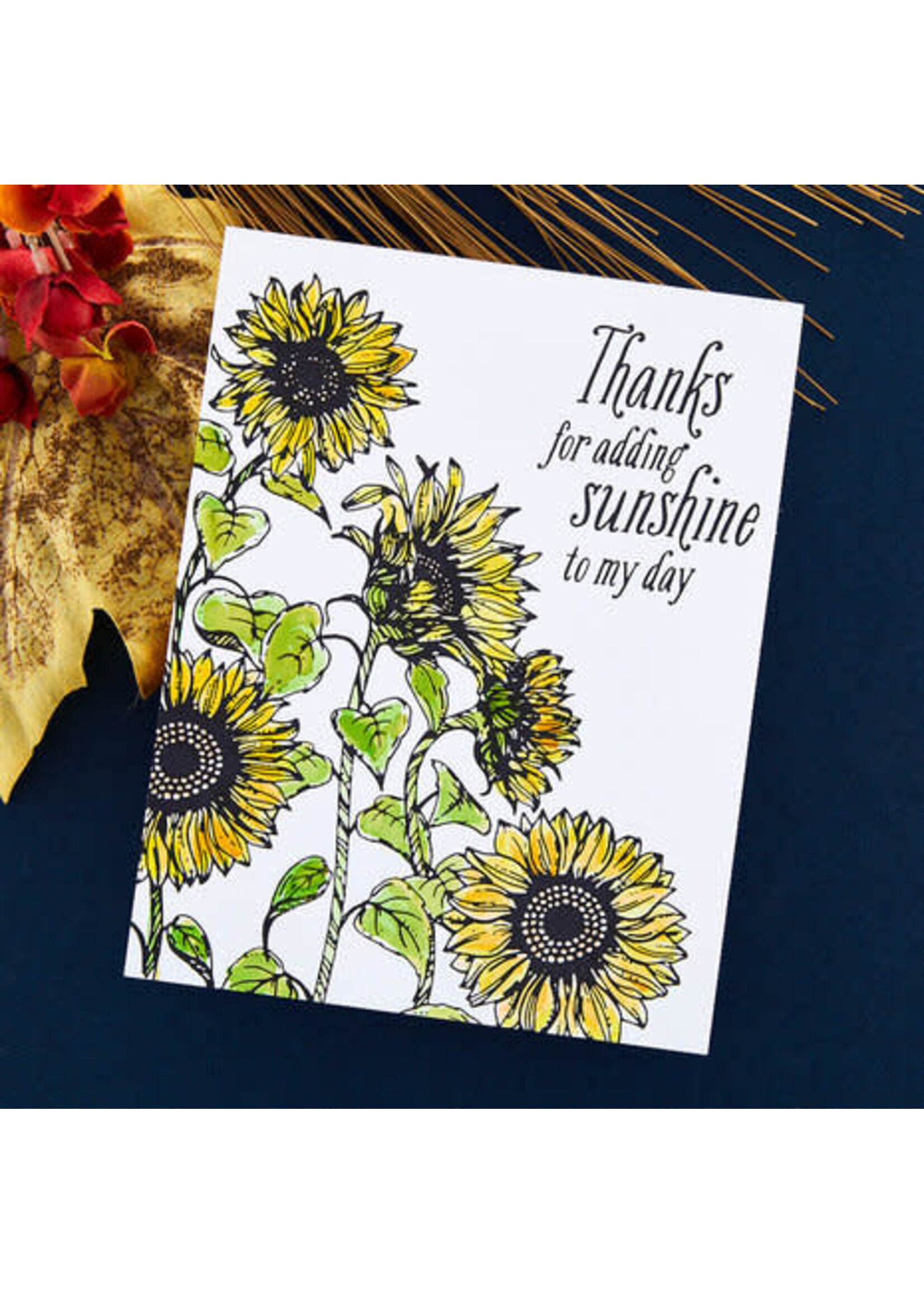 spellbinders Sunflower Field Press Plate (BP-094)