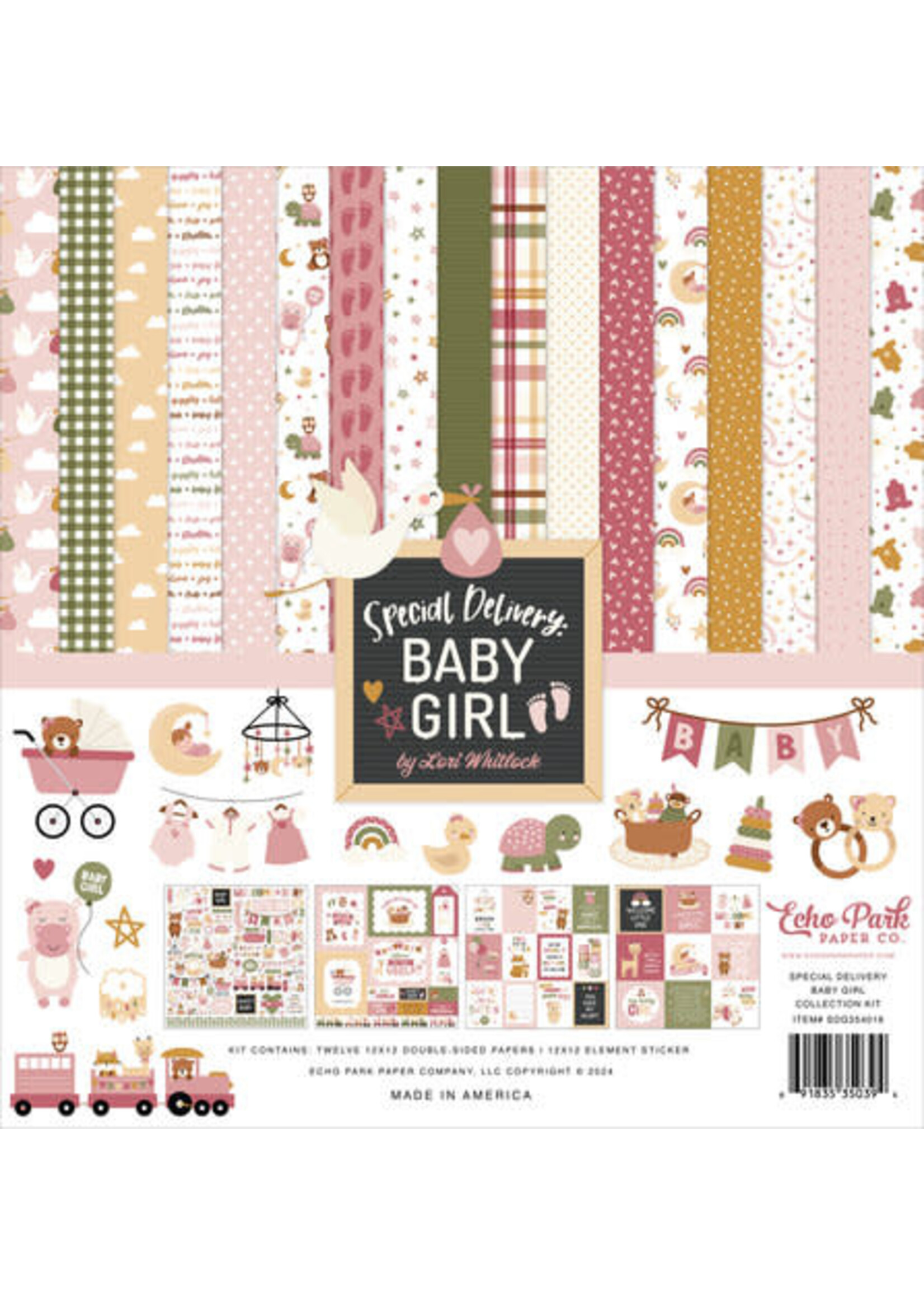 Special Delivery Baby Girl 12x12 Inch Collection Kit (SDG354016)