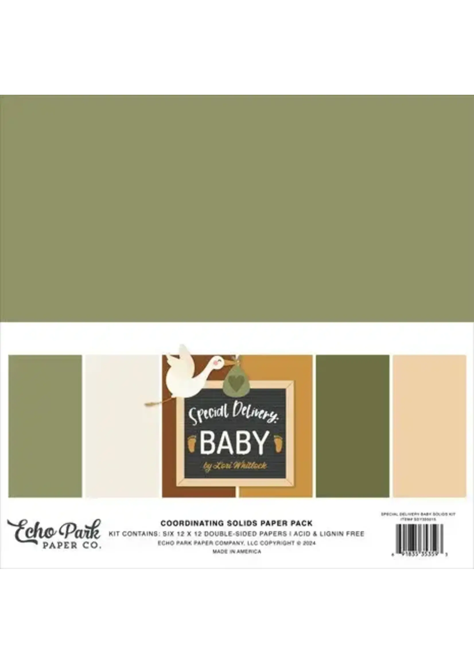 Special Delivery Baby 12x12 Inch Coordinating Solids Paper Pack (SDY355015)