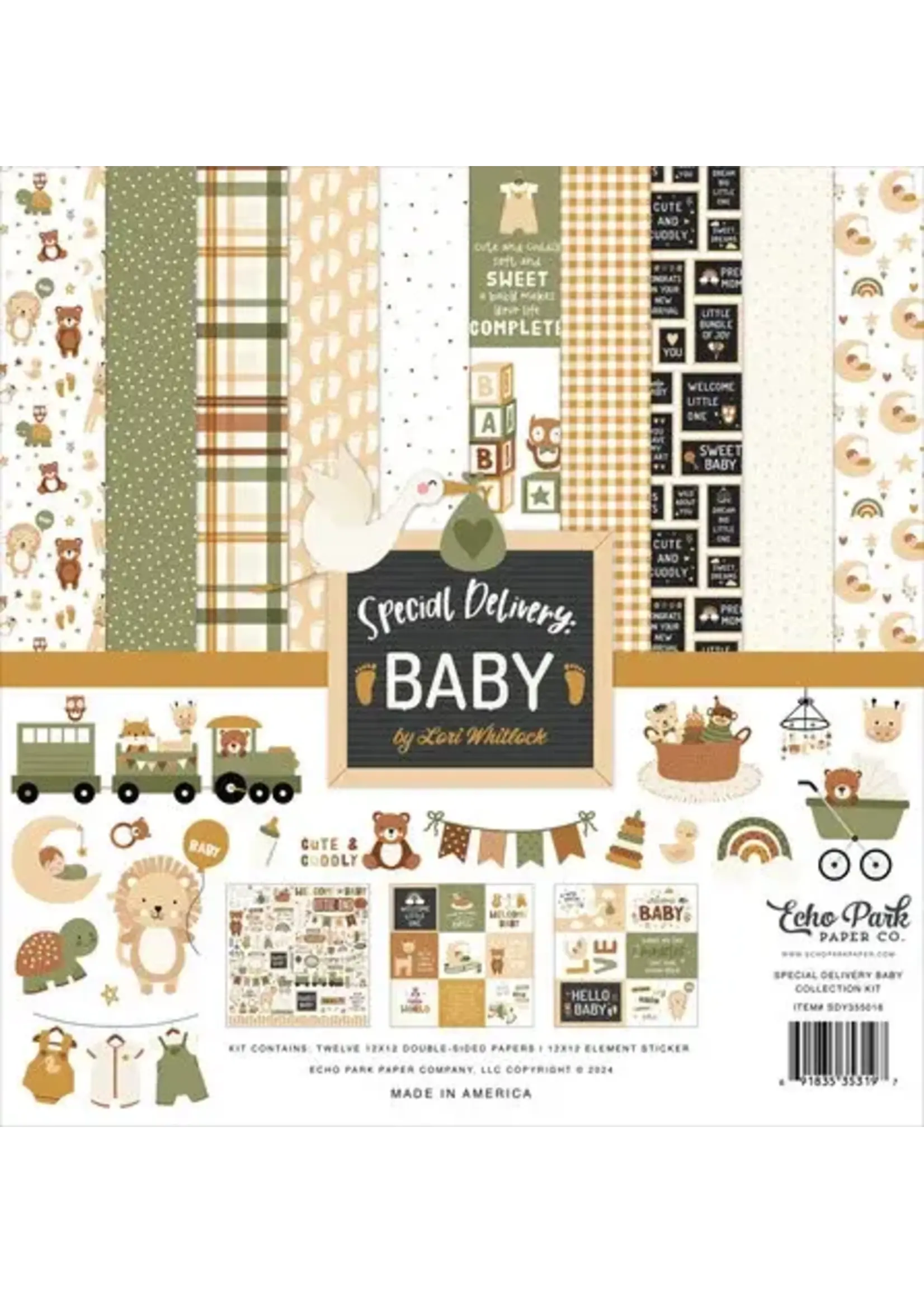 Special Delivery Baby 12x12 Inch Collection Kit (SDY355016)