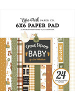 Special Delivery Baby 6x6 Inch Paper Pad (SDY355023)