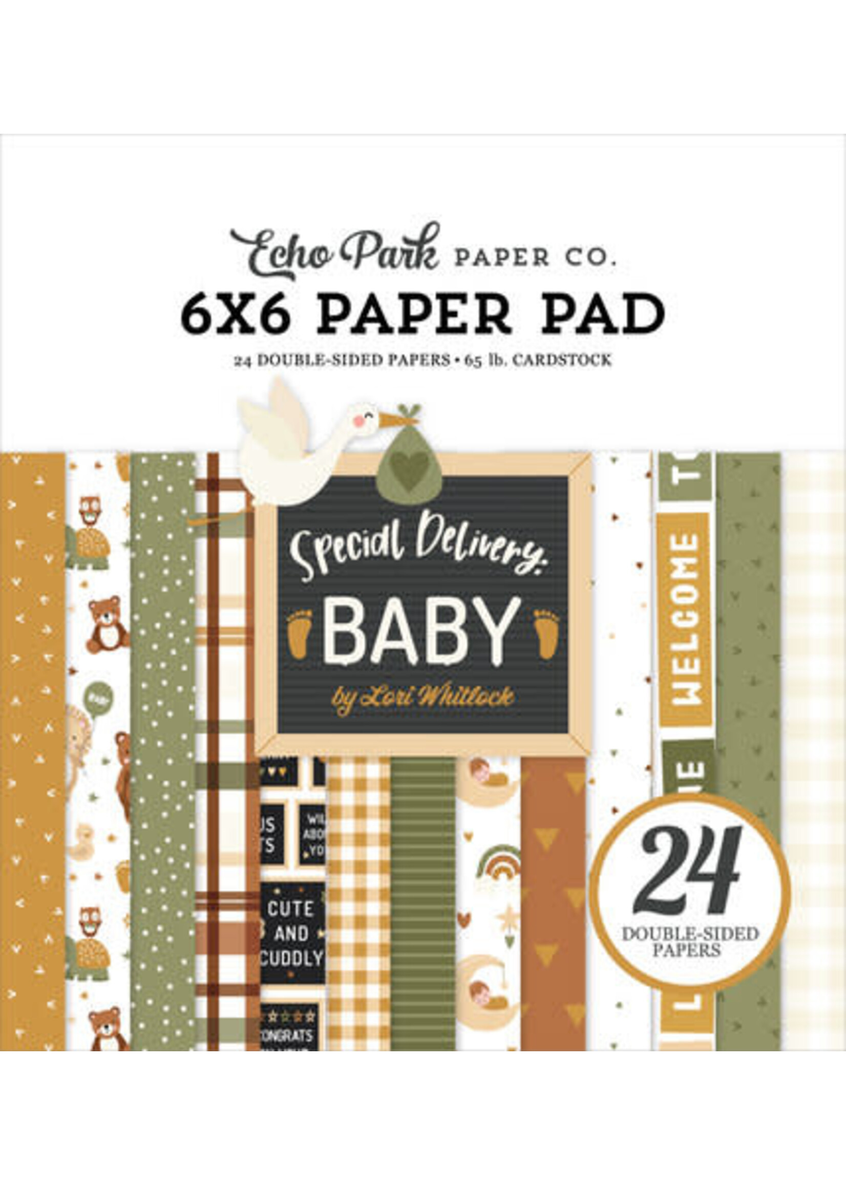 Special Delivery Baby 6x6 Inch Paper Pad (SDY355023)