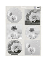 VK9608 - Serenity Flowers