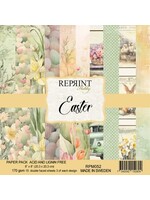 Easter 8x8 Inch Paper Pack (RPM052)