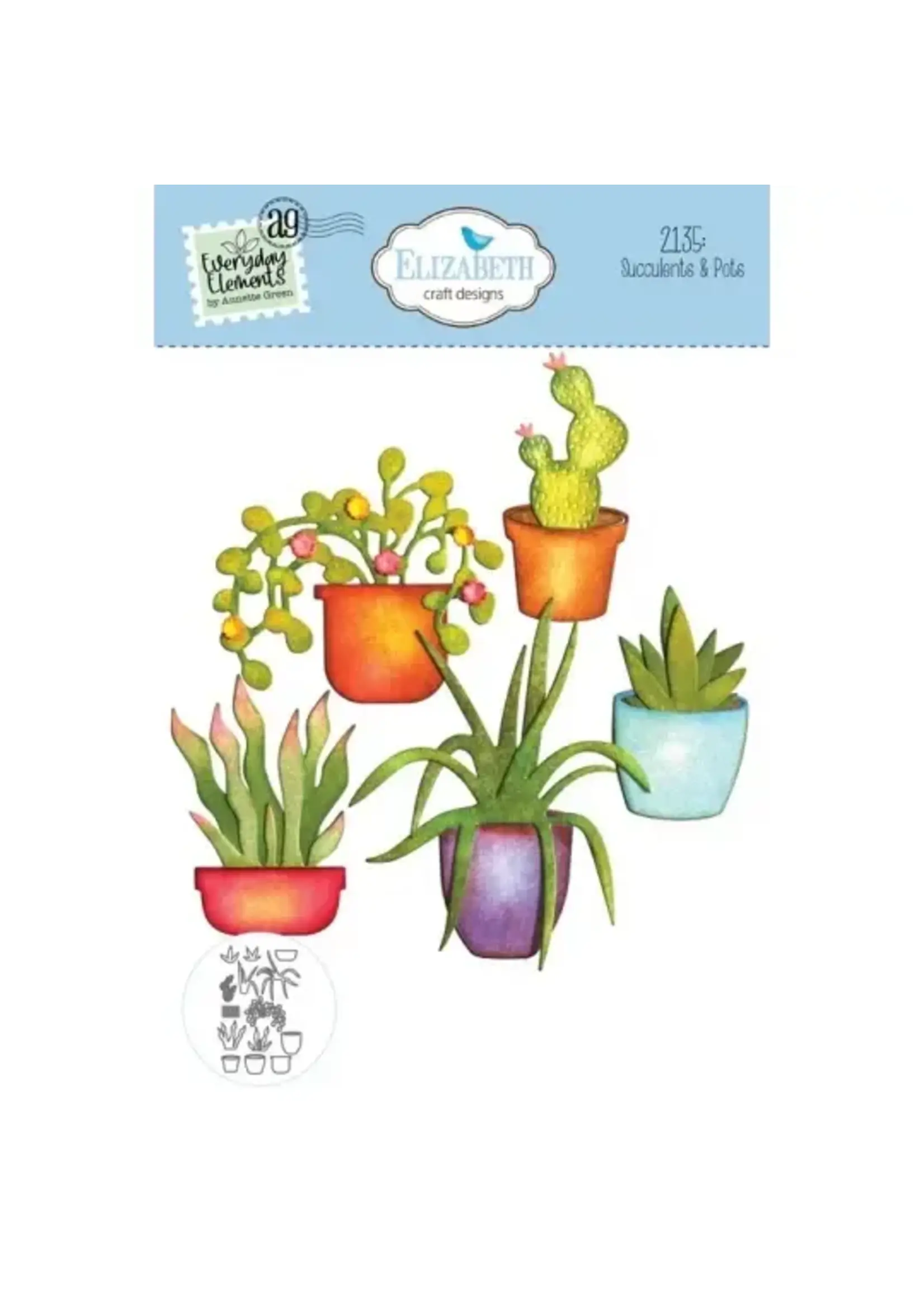 2135 - Succulents & Pots