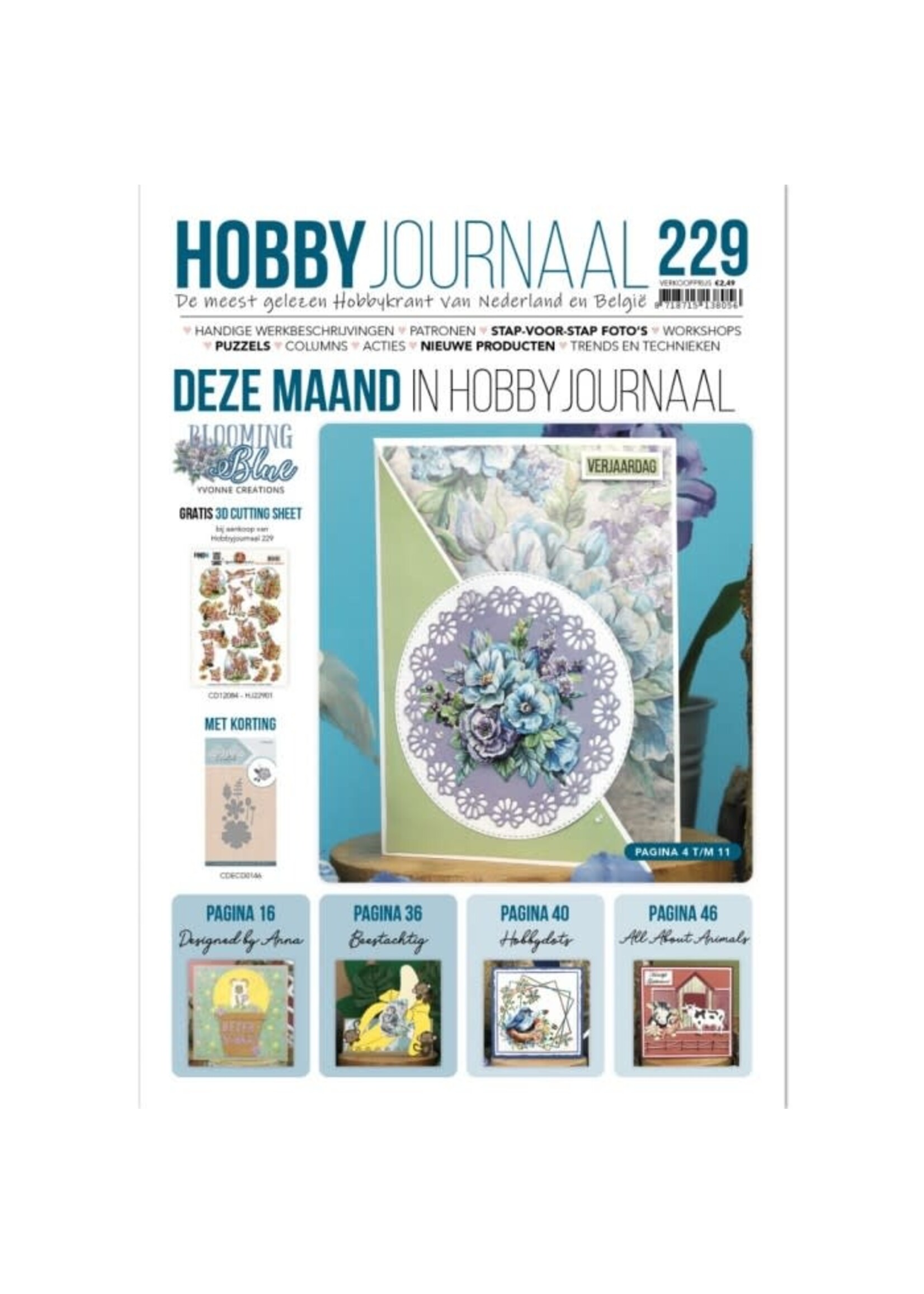 Hobbyjournaal 229