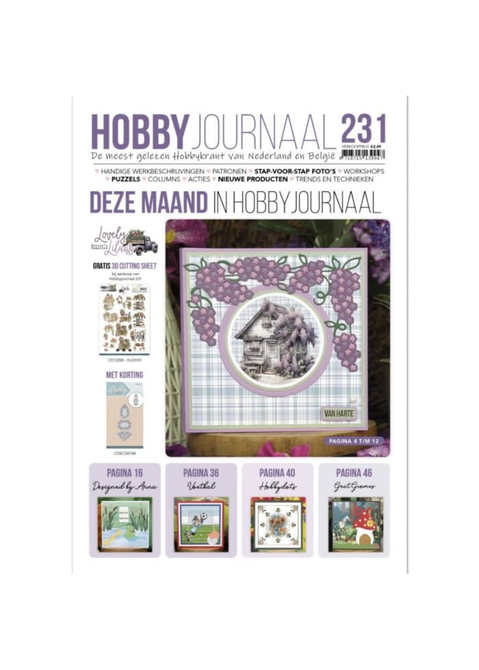 Hobbyjournaal 231
