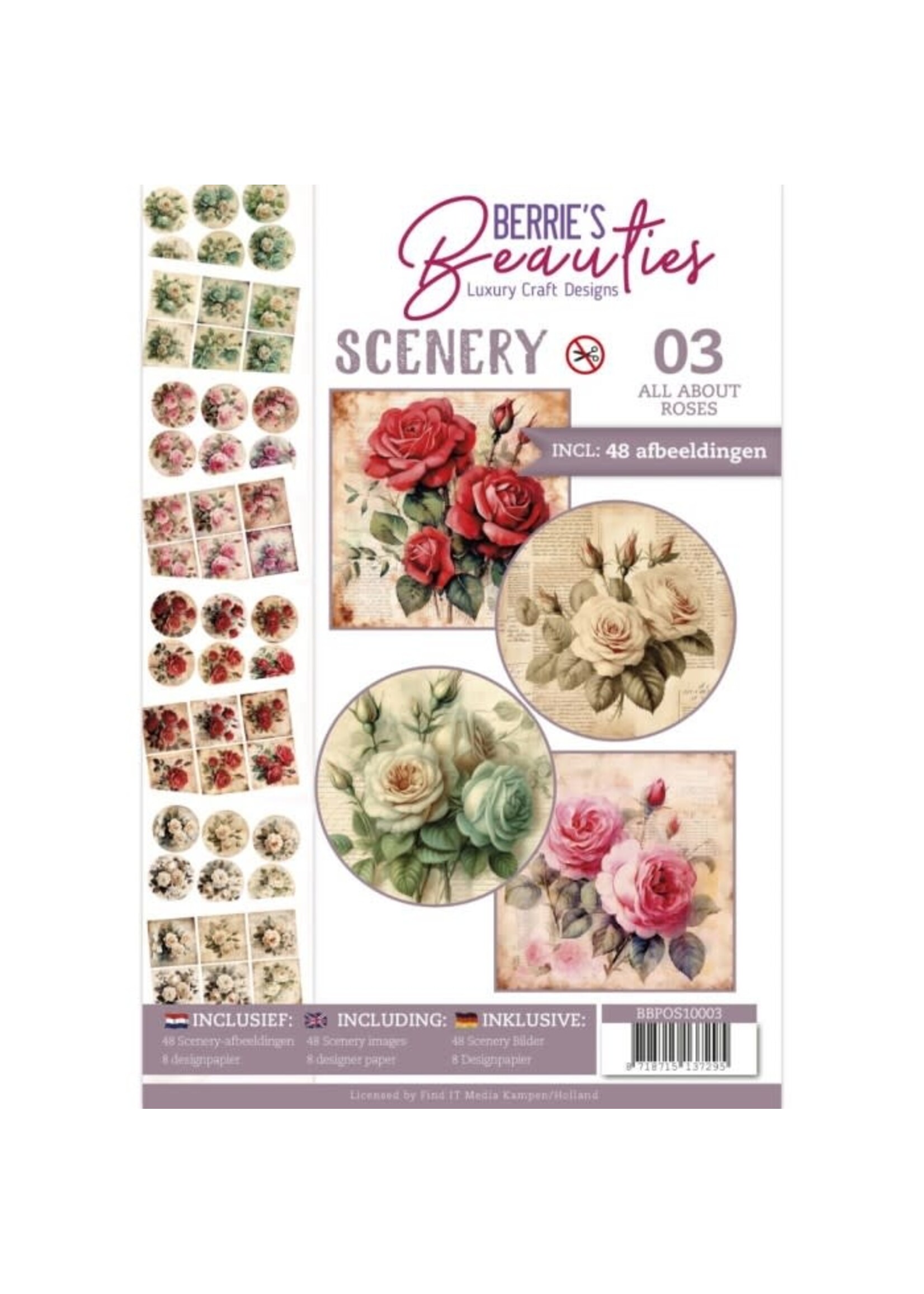 Push-Out Book Scenery 3 - All About Roses