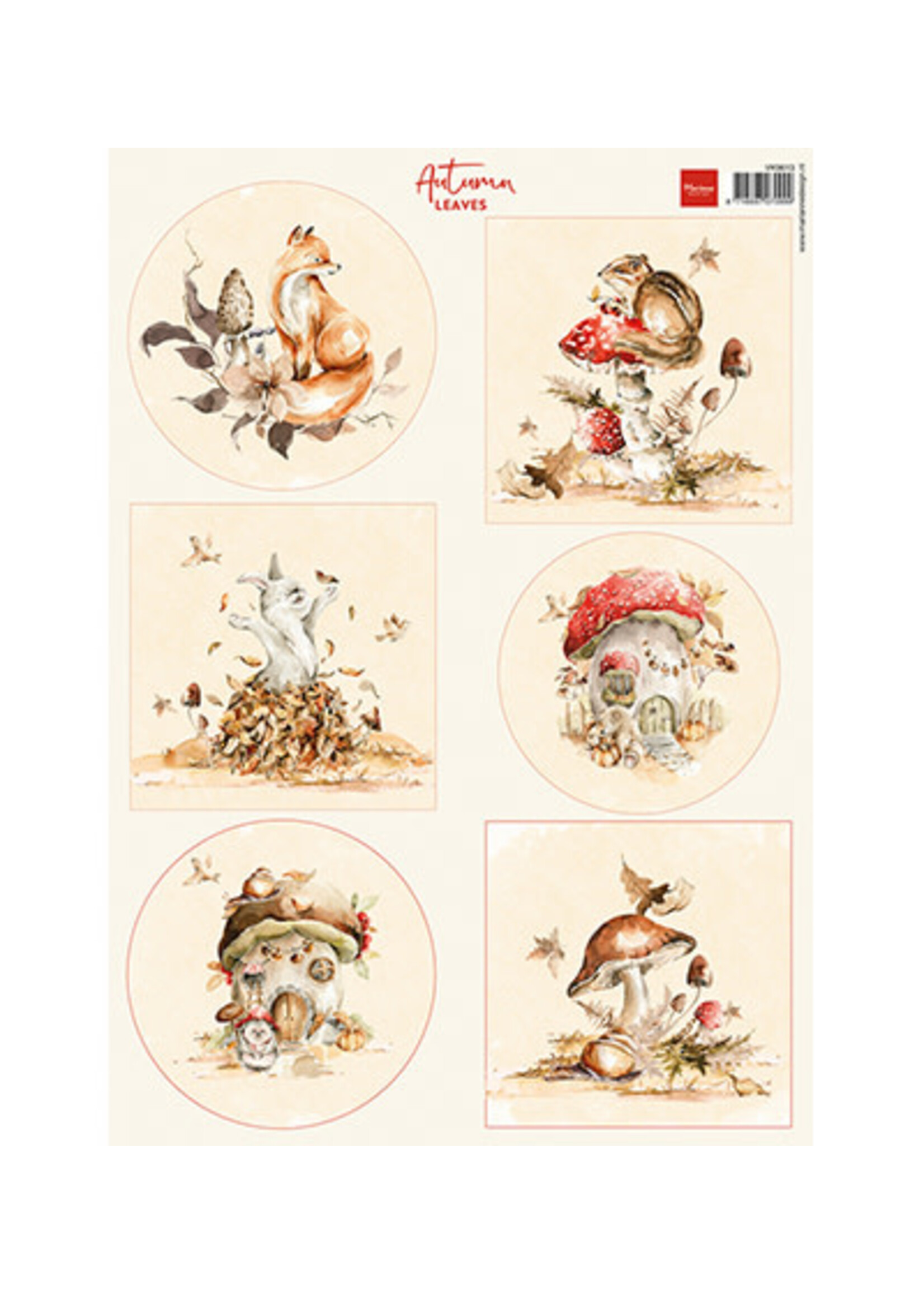 VK9613 - Autumn leaves