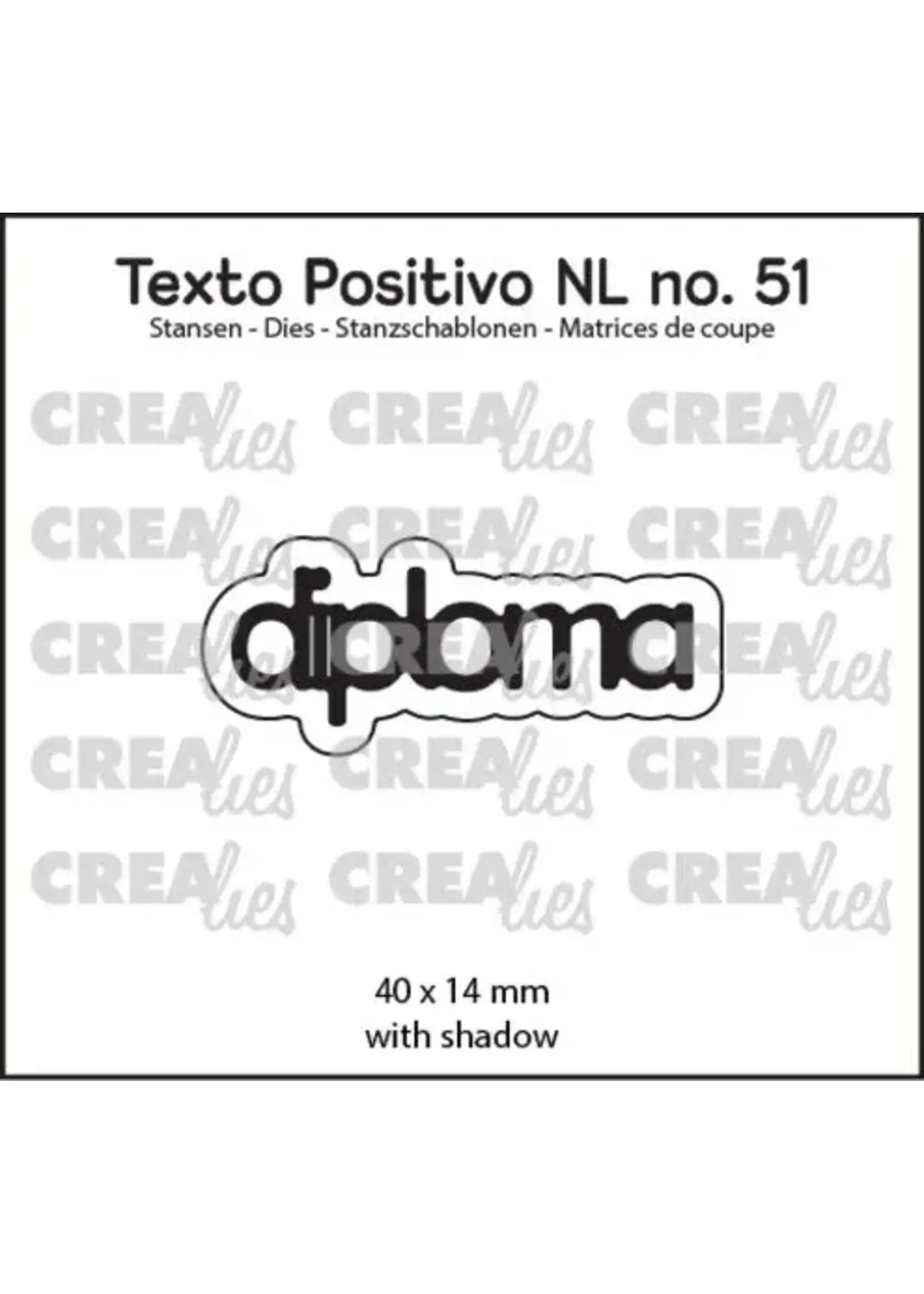 Texto Positivo Stansen Dutch Diploma (POSNL51)