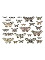 Tim Holtz Halloween Transparencies, Moths (TH94403)