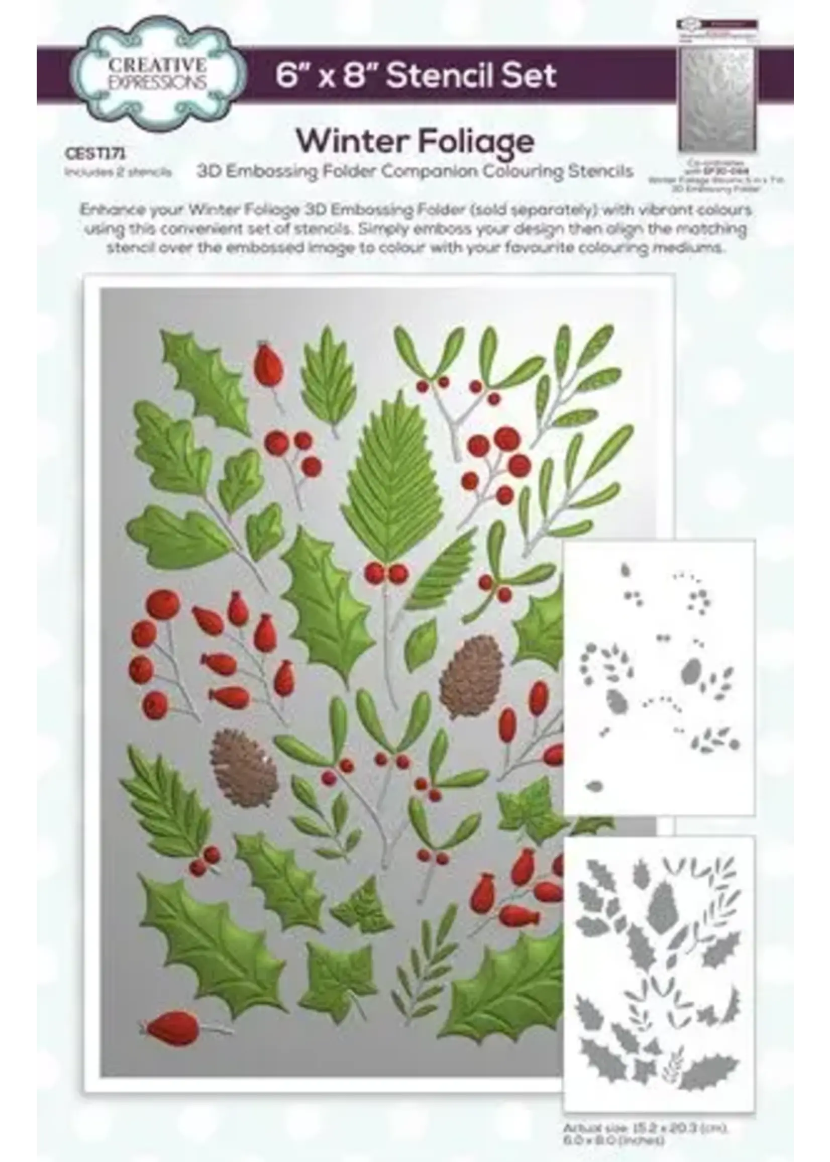 Winter Foliage Companion Colouring Stencil (CEST171)