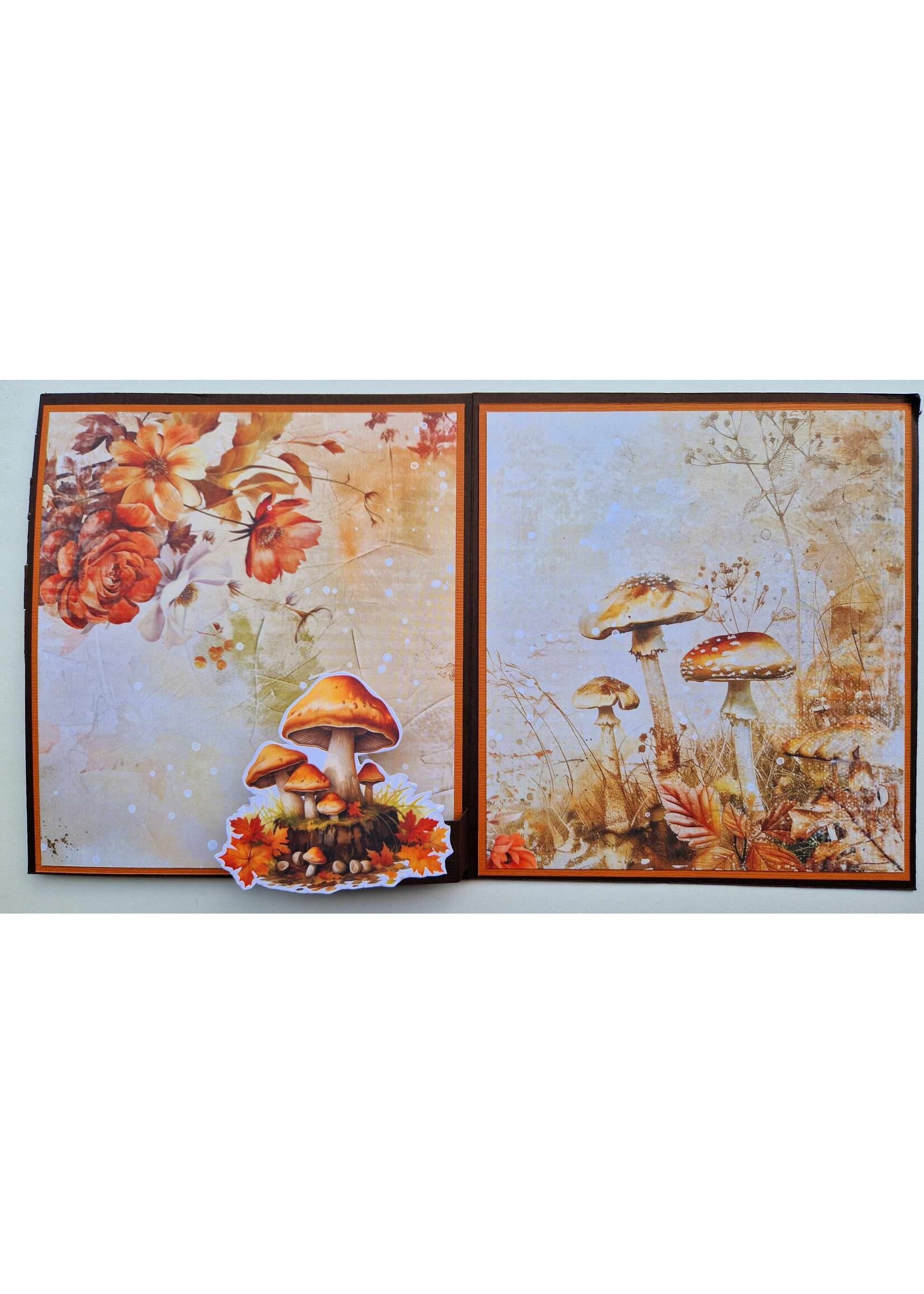 Herfst Waterval Kaart