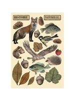 Forest Colored Wooden Shape A5 (KLSP171)