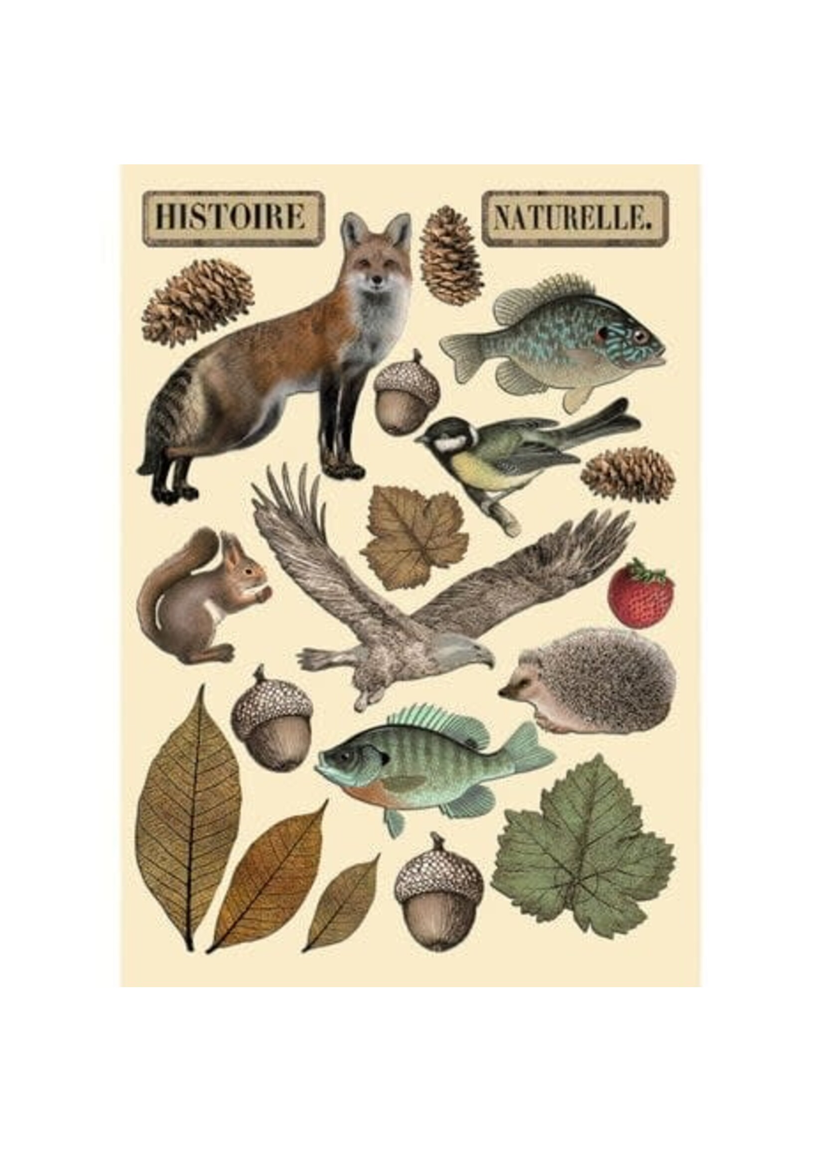 Forest Colored Wooden Shape A5 (KLSP171)