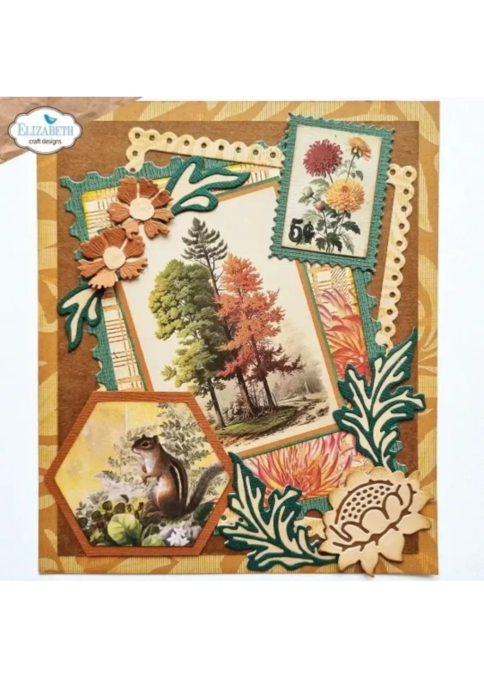 Card Maker Special Kit - Elizabeth Craft Designs      2180 - Largest Die Size: 5.3" x 4.1" (13.5 x 10.4 cm) - 28 Dies CS377 Stamp Set Size: A5 - 6” x 8” or 15.24 cm x 20.32 cm