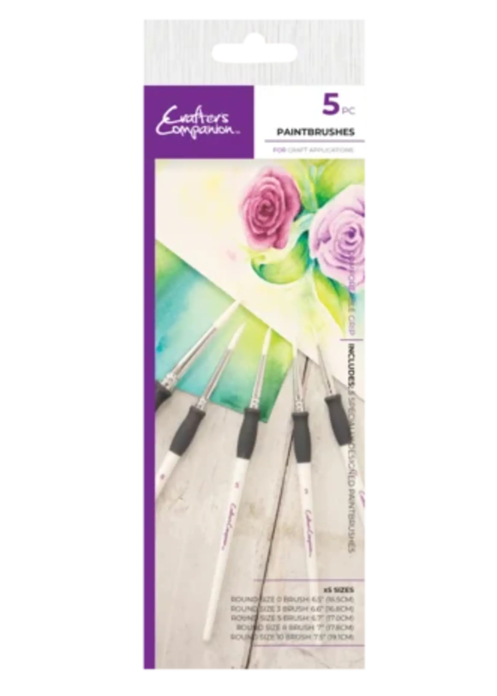 Paintbrushes (5pcs) (CC-TOOL-PAINTBR5)