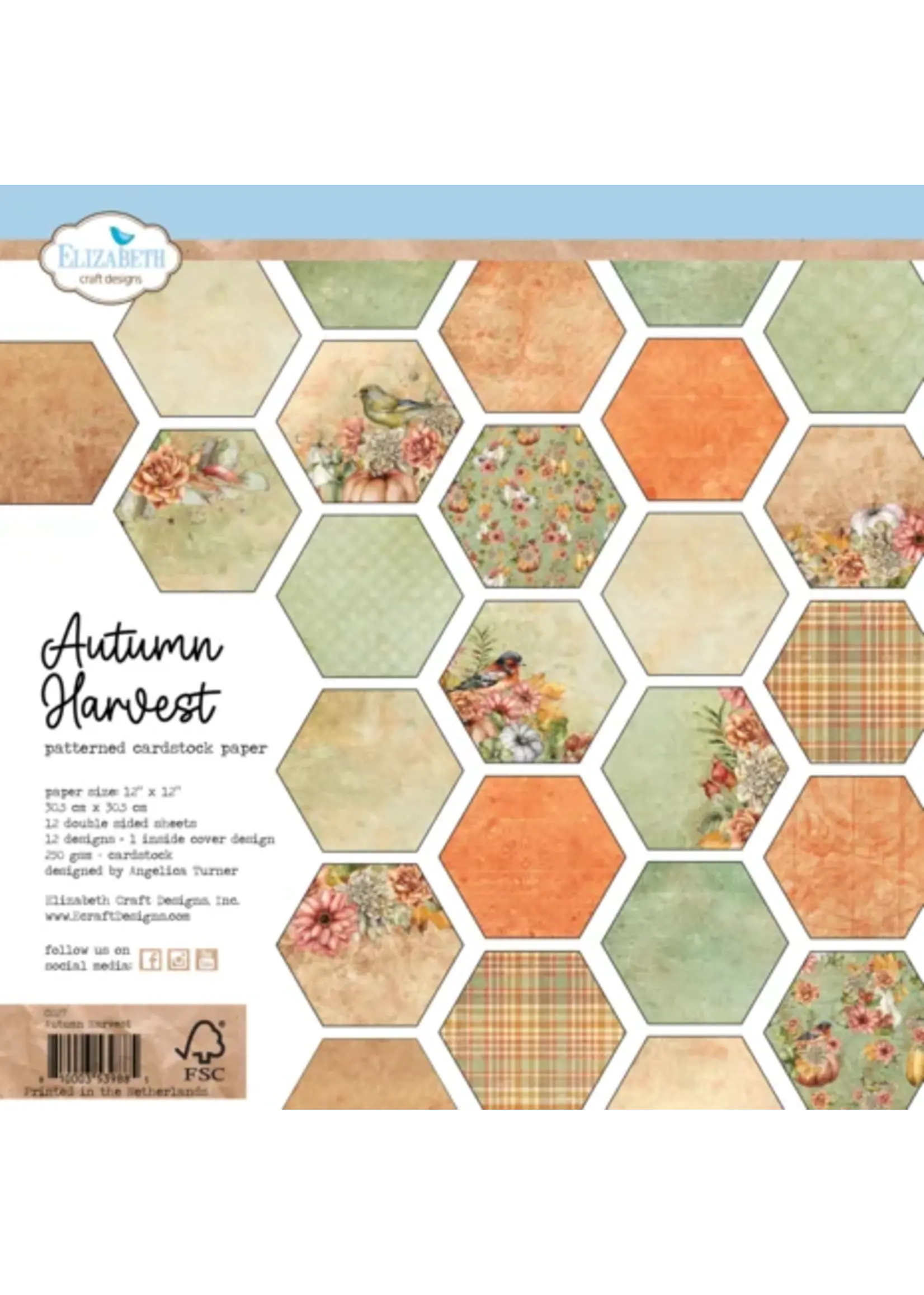 Autumn Harvest 12x12 Inch Patterned Cardstock Paper (C027)