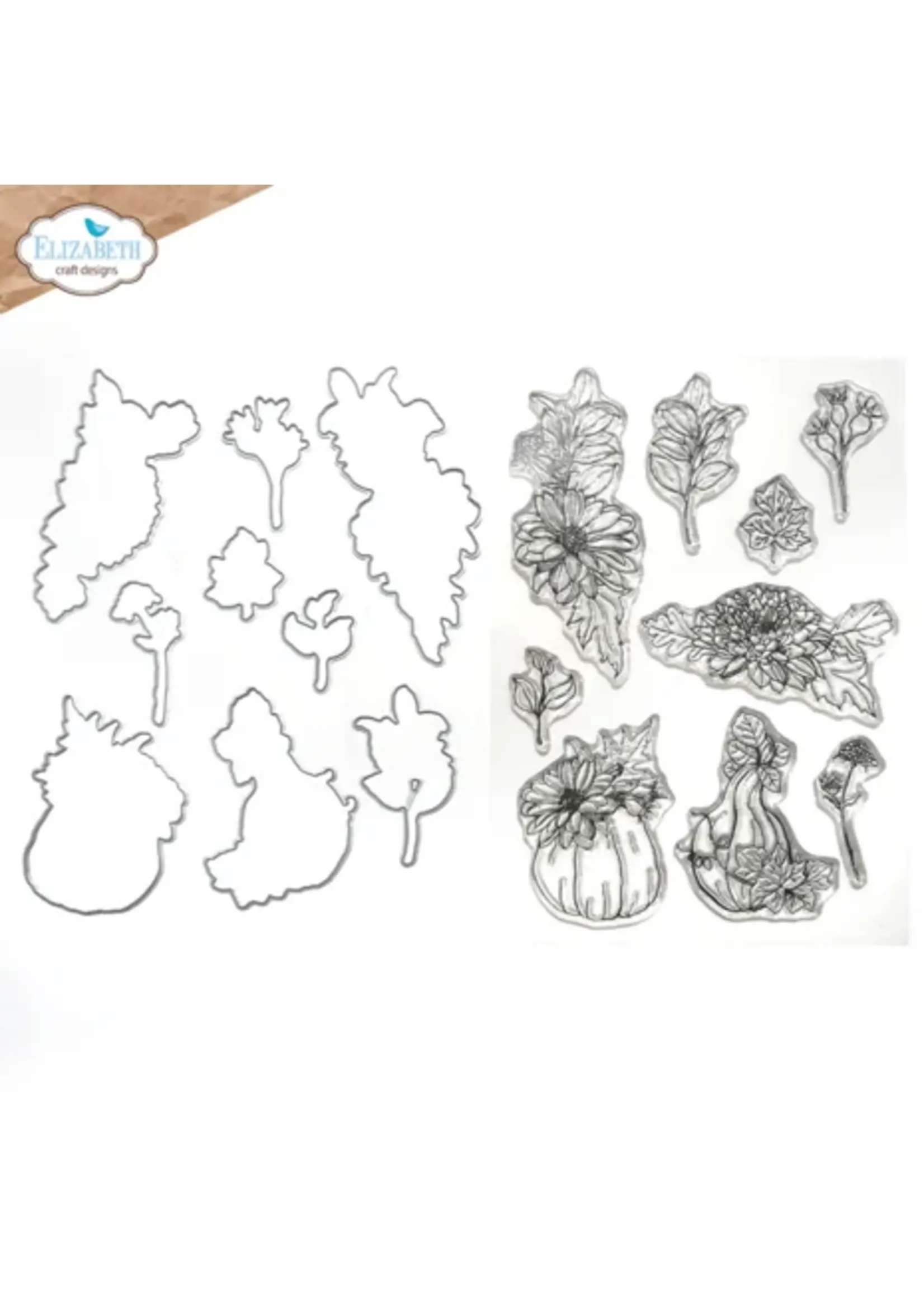 Autumn Harvest Stamp and Die Autumn Harvest Florals (CSD378)