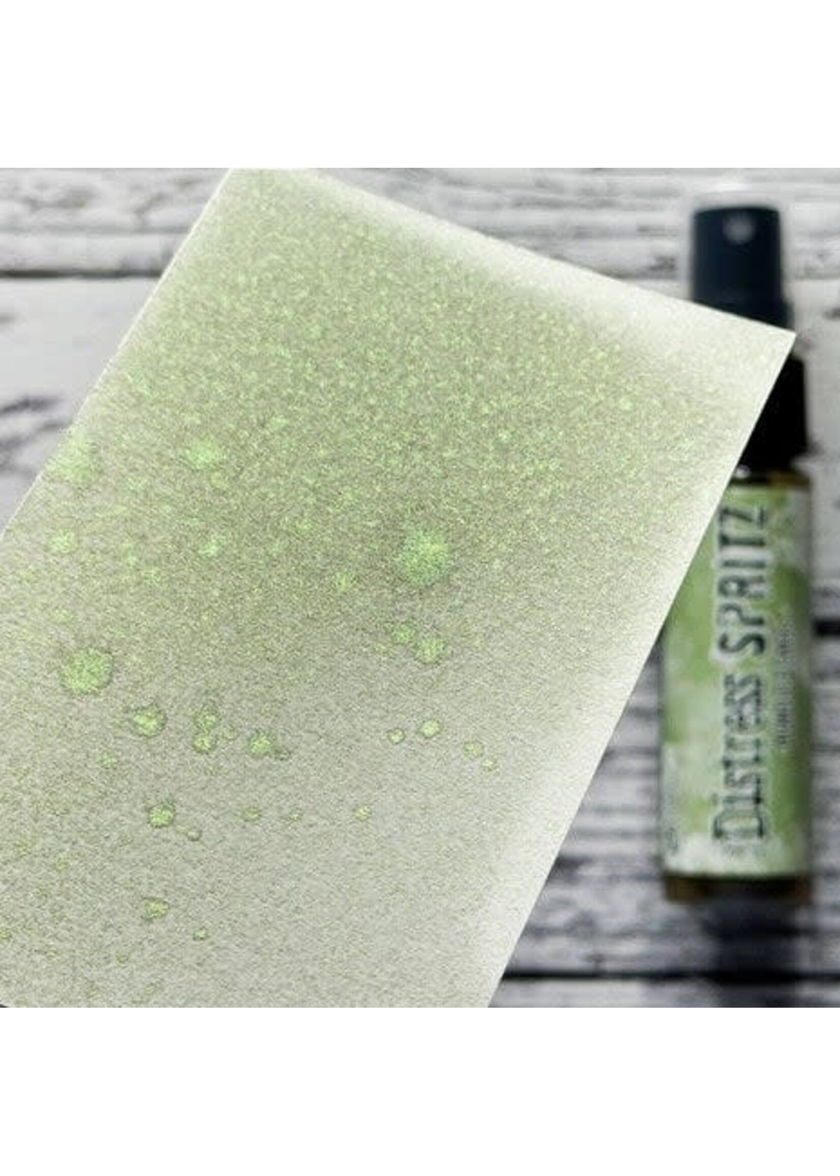 Tim Holtz Distress Spritz Bundled Sage 1 fl oz (TDU86253)