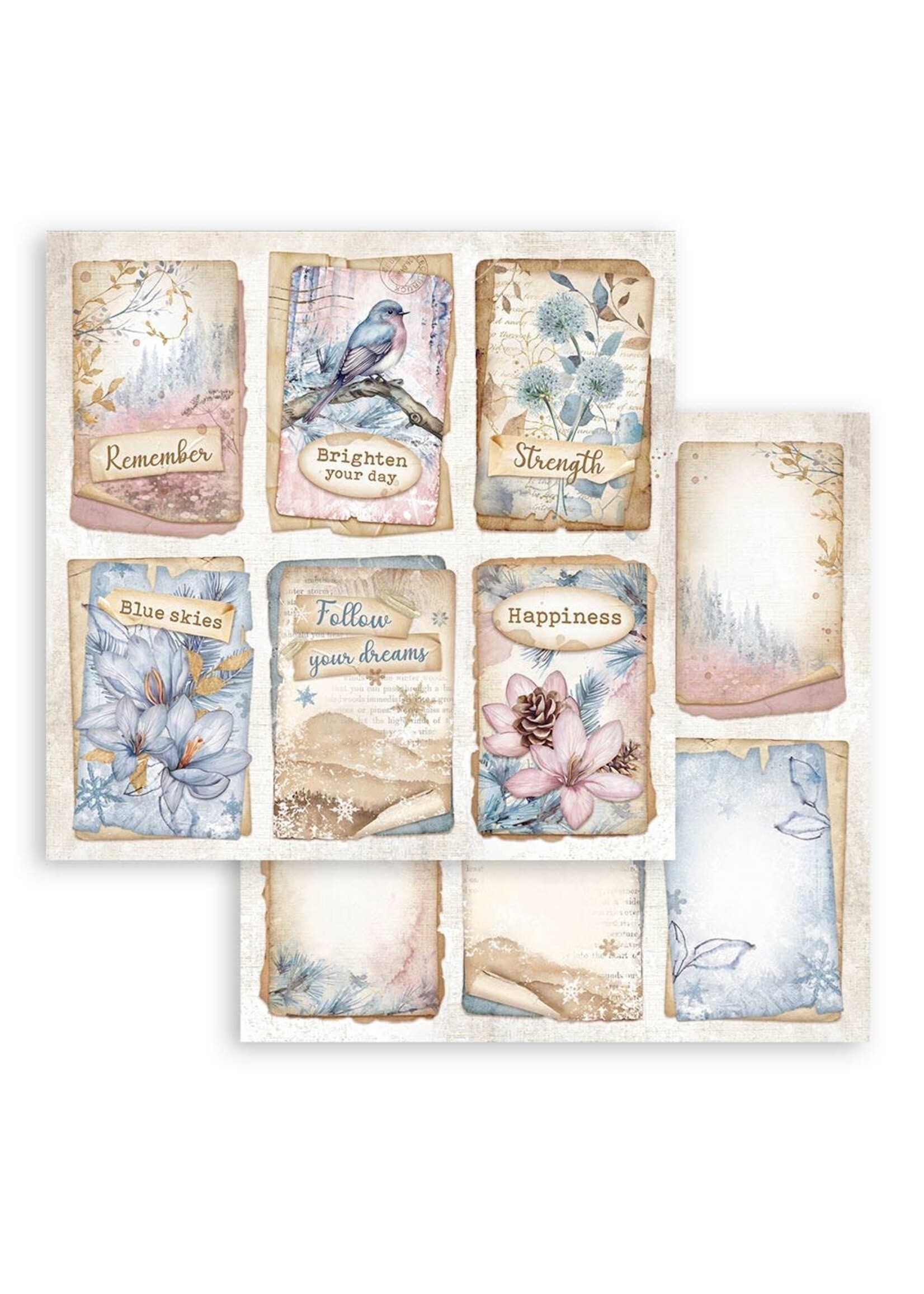 Scrapbooking dubbelzijdig blad - Create Happiness Dauwdruppels 6 kaarten CME-code: SBB1032
