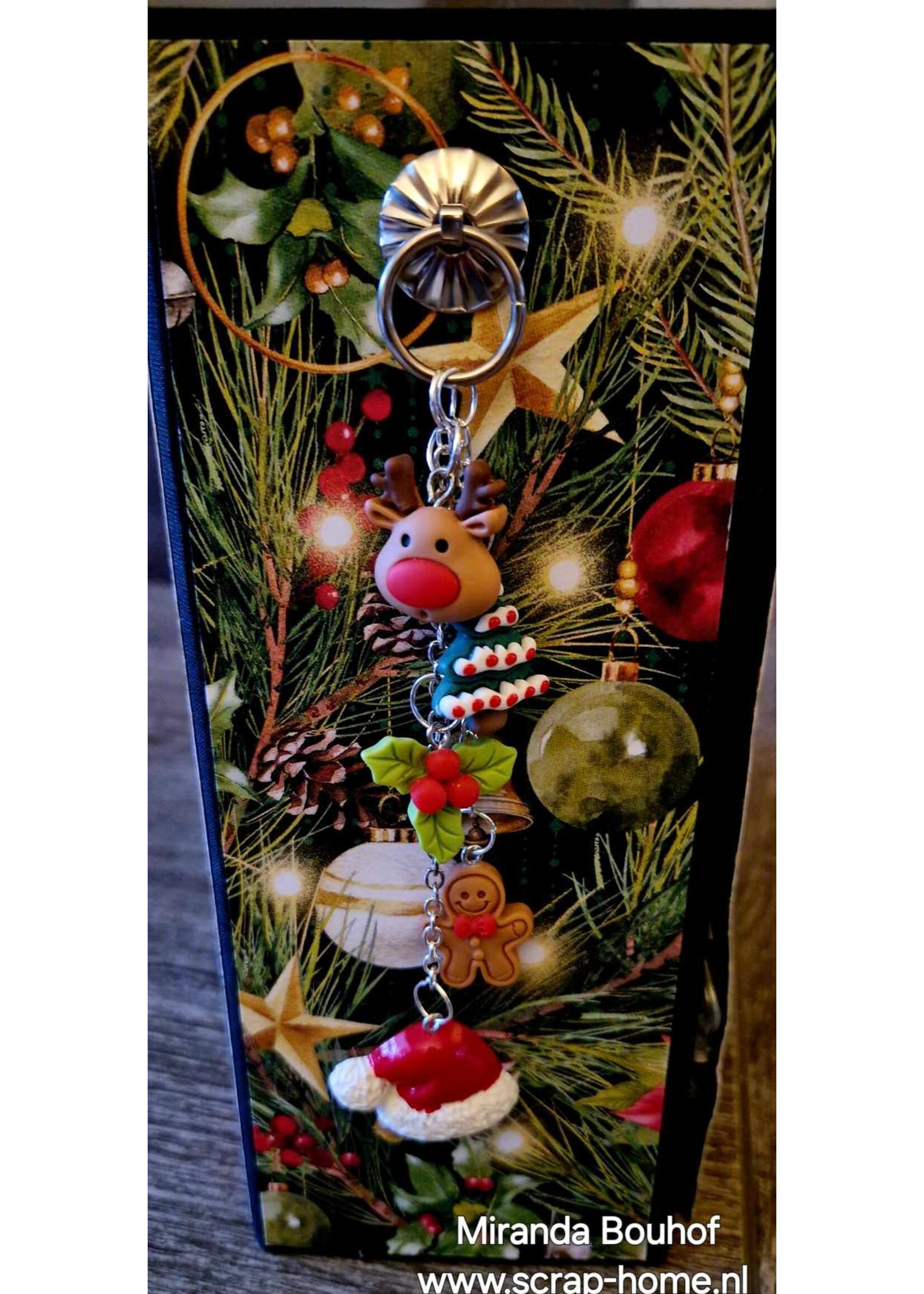 Kerst Abum met Lichtjes