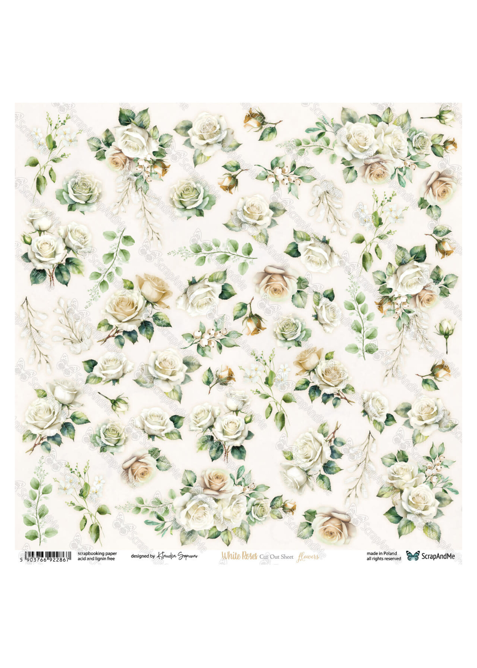 White Roses - Flowers