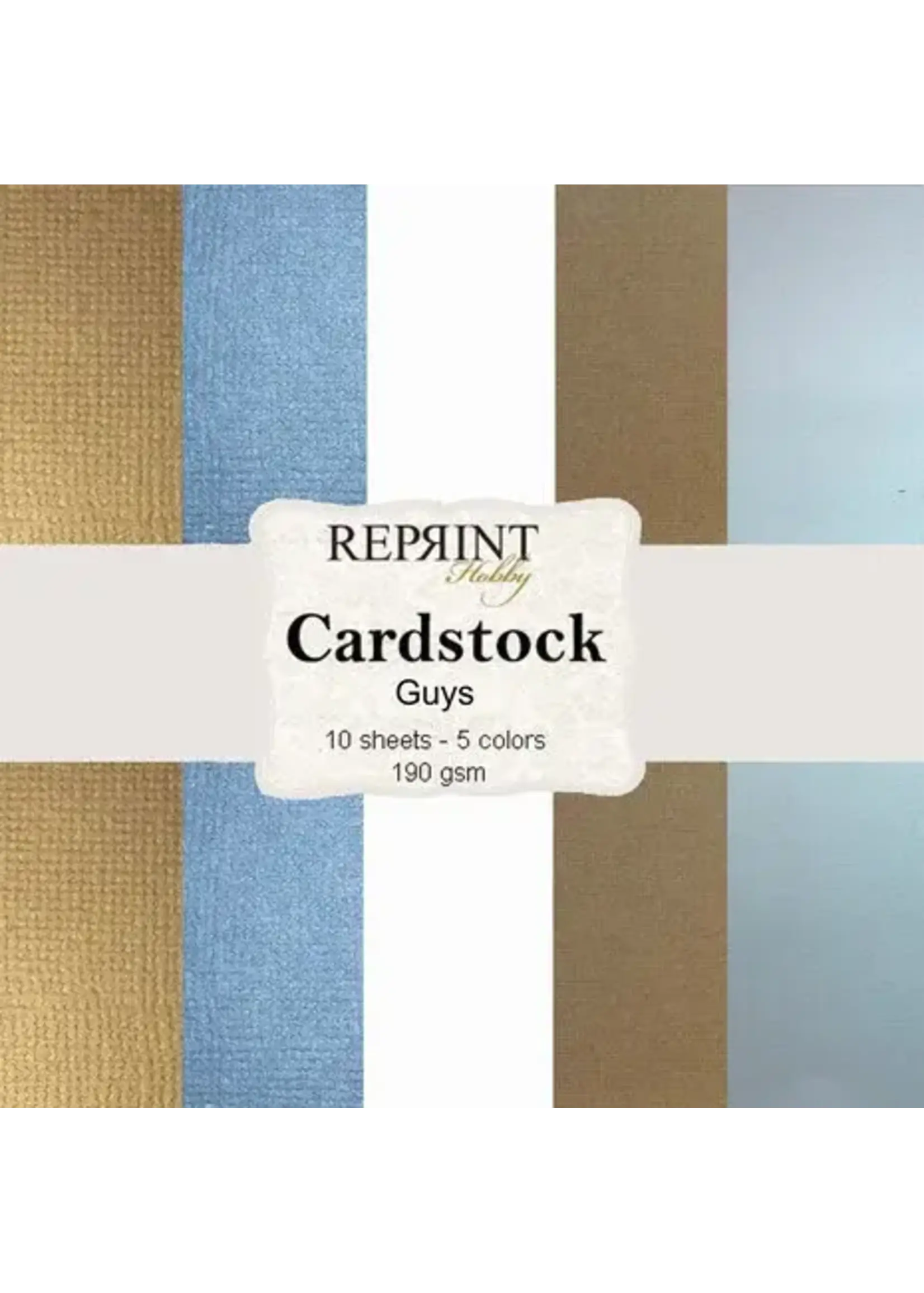 Guys 12x12 Inch Cardstock (CSP026)