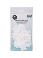 SL-CO-FLOW13 - Flowers White Consumables nr.13